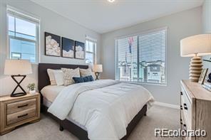 MLS Image #14 for 16578  peak street,broomfield, Colorado