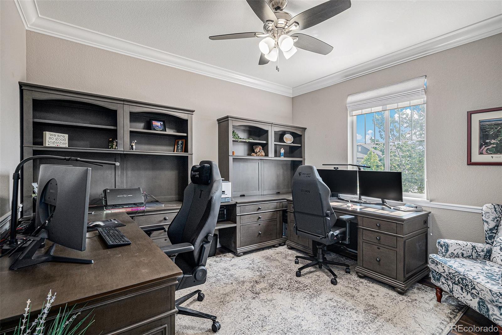 MLS Image #14 for 7005  greenwater circle,castle rock, Colorado