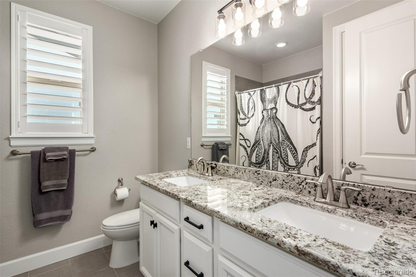 MLS Image #25 for 9724  cantabria point,lone tree, Colorado