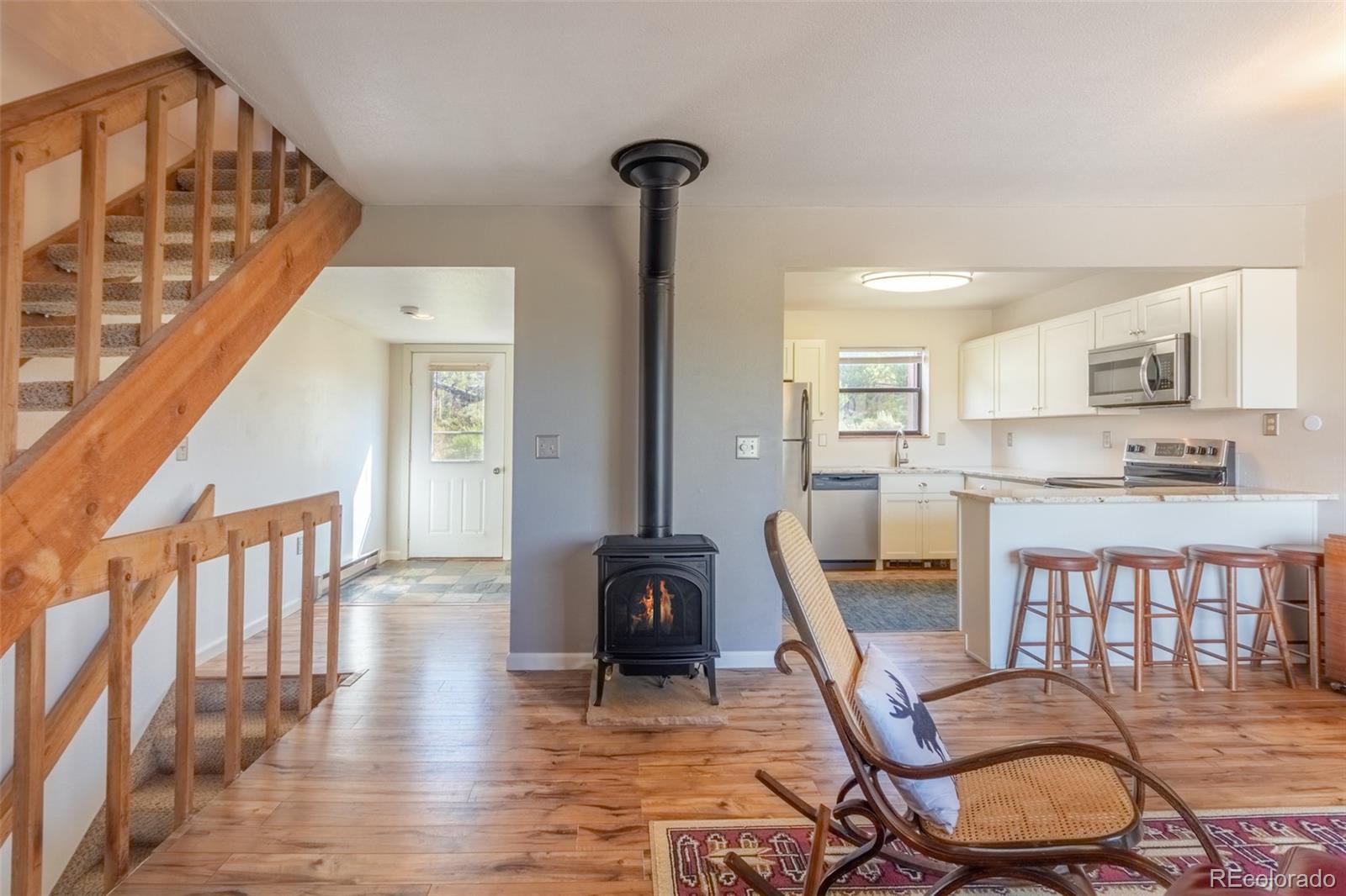 MLS Image #1 for 152  county road 442 ,grand lake, Colorado