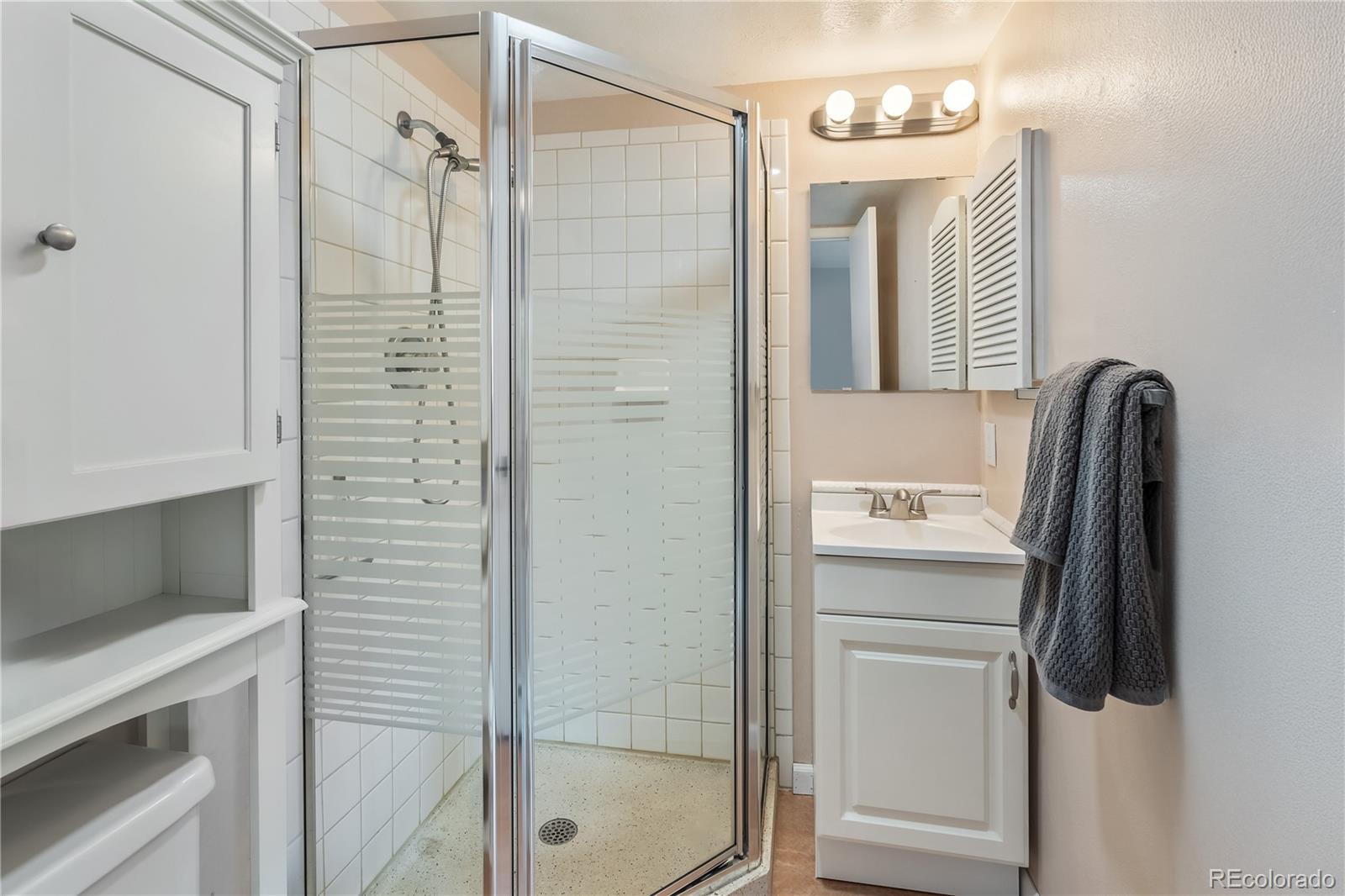 MLS Image #10 for 401  salt lick circle,silverthorne, Colorado