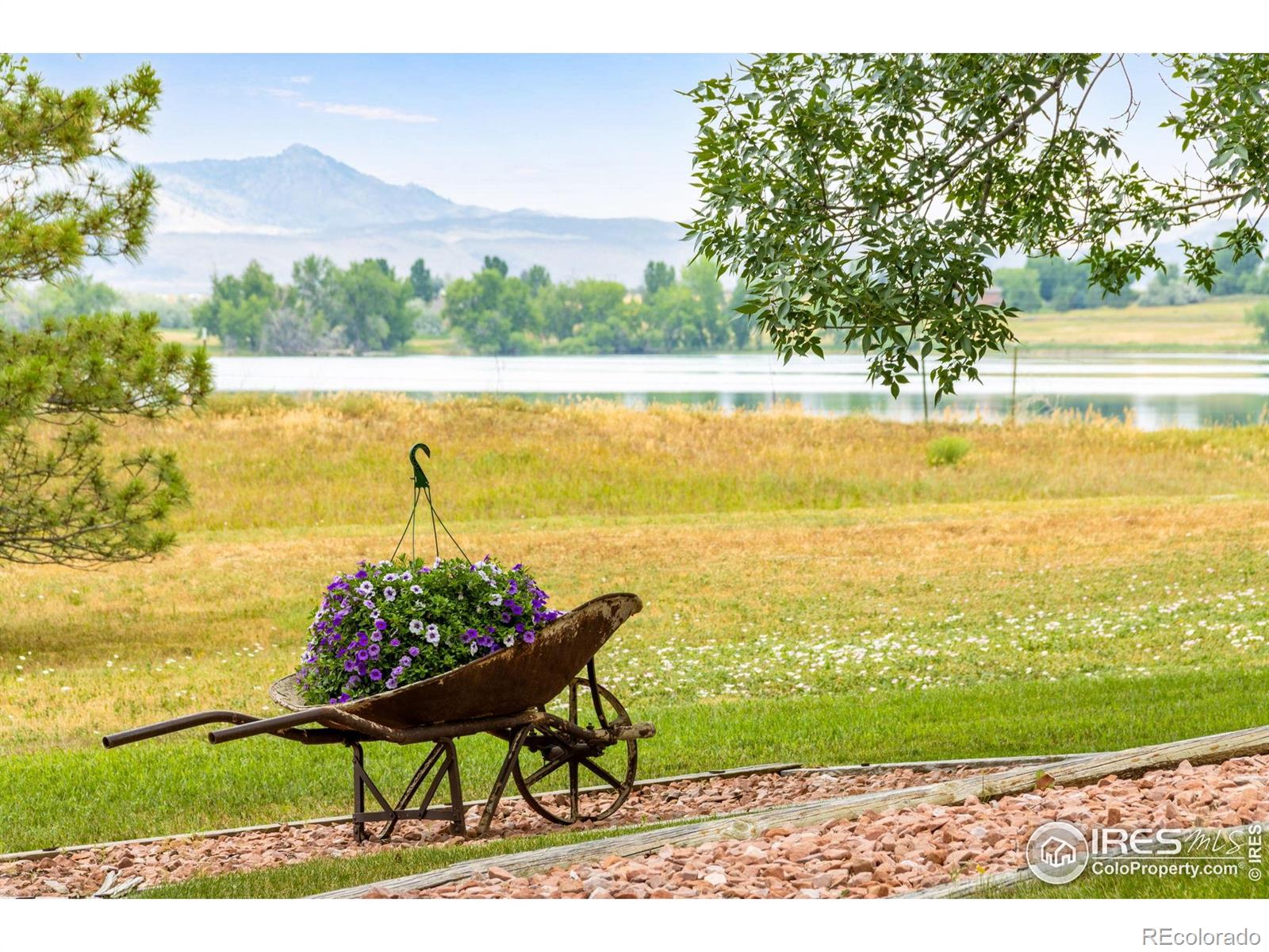 MLS Image #8 for 4410 n county road 13 ,fort collins, Colorado