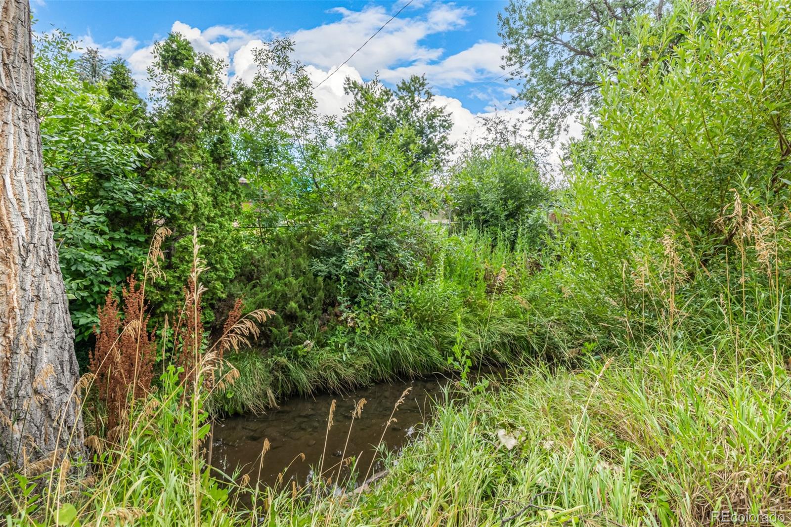 MLS Image #33 for 11023 w 67th way,arvada, Colorado