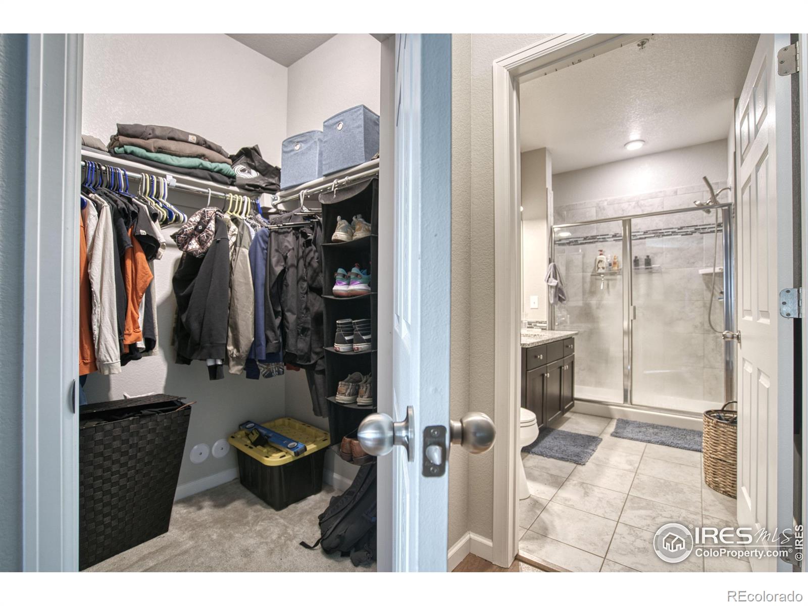 MLS Image #11 for 804  summer hawk drive,longmont, Colorado