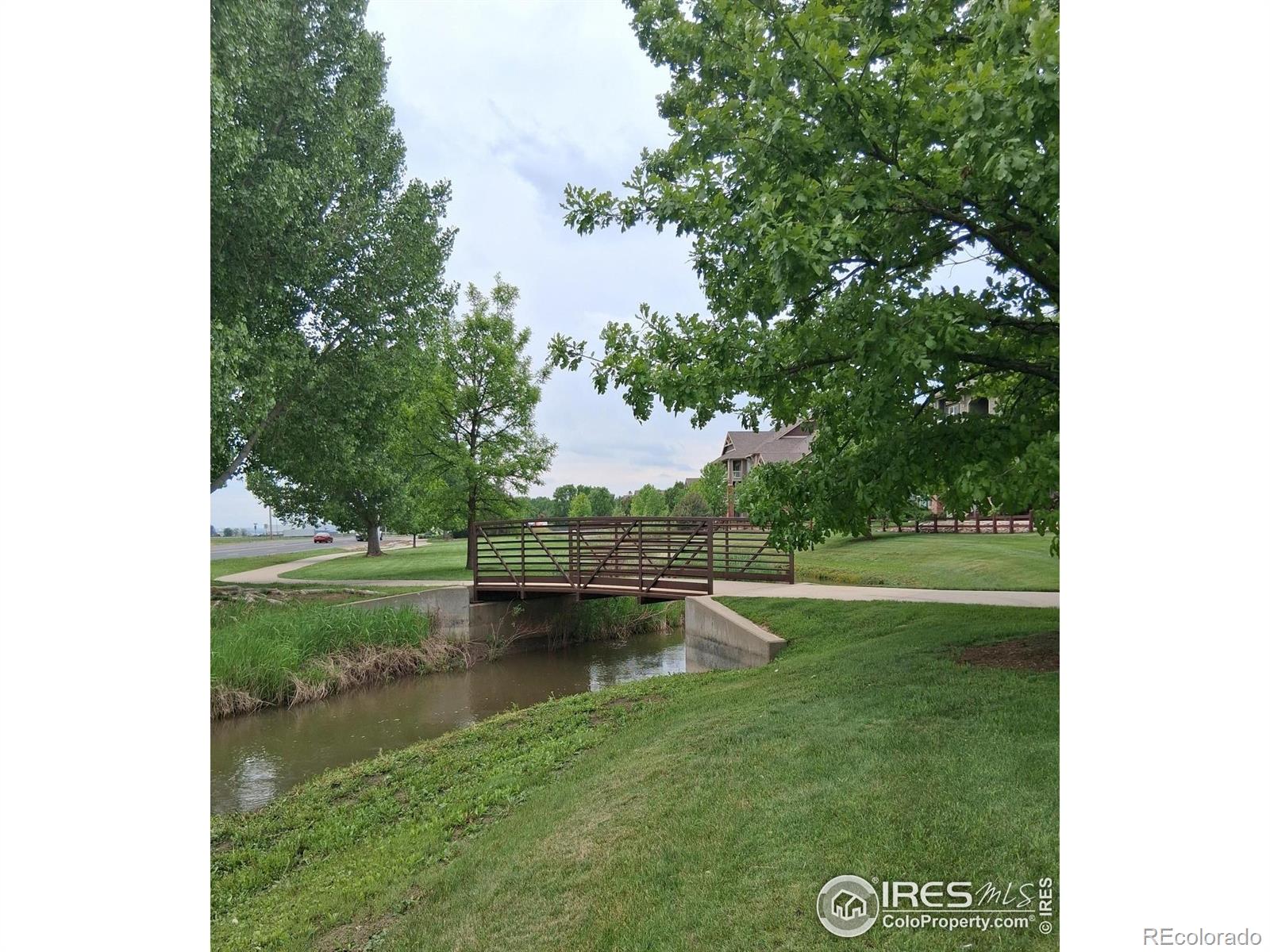 MLS Image #18 for 804  summer hawk drive,longmont, Colorado
