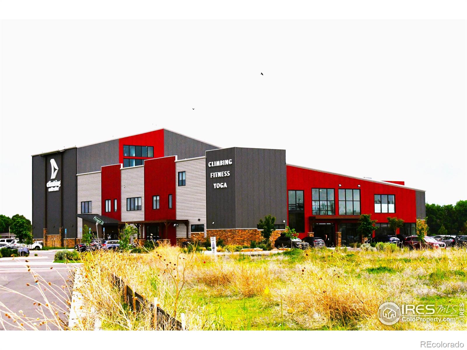 MLS Image #20 for 804  summer hawk drive,longmont, Colorado