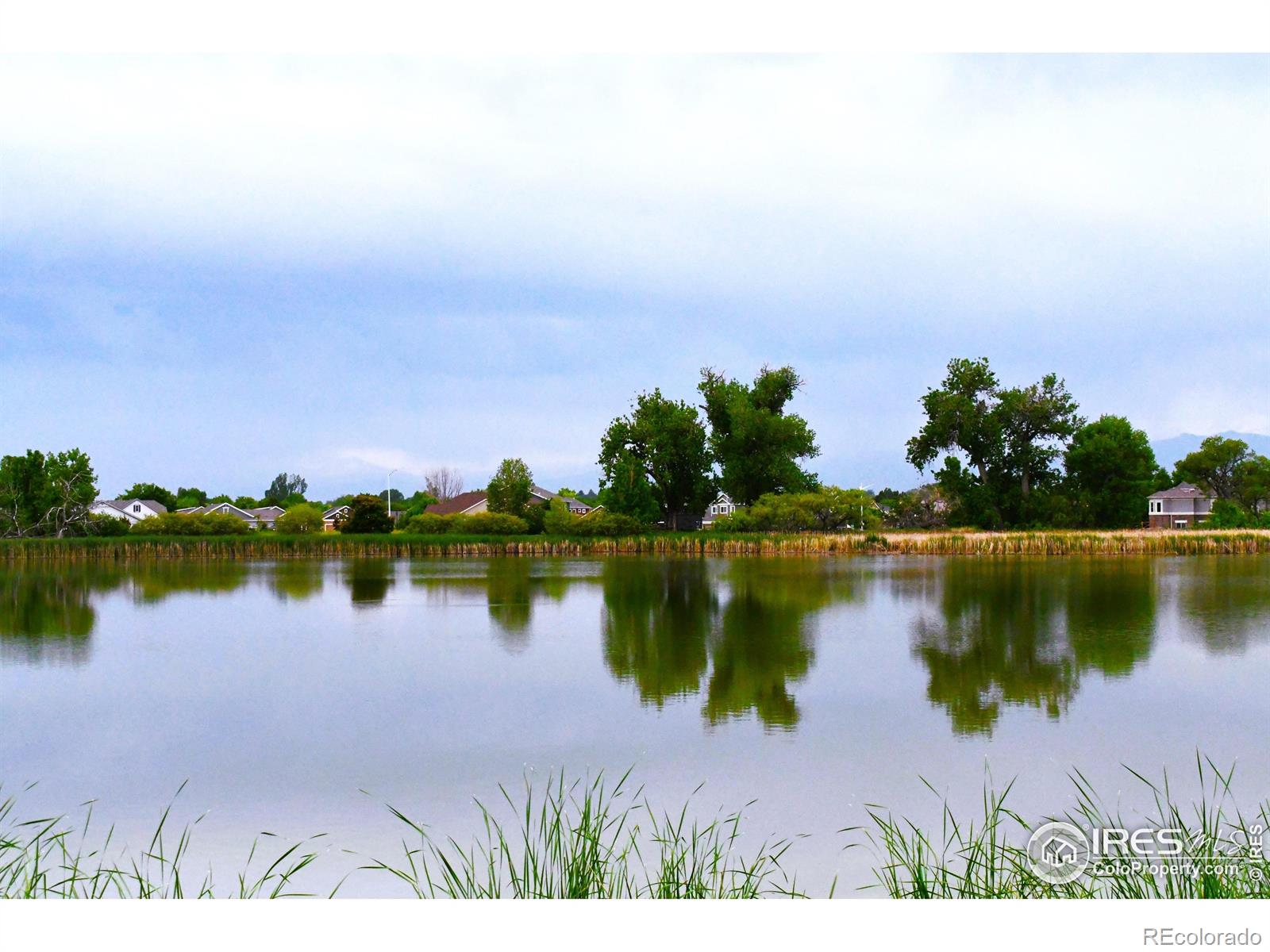 MLS Image #21 for 804  summer hawk drive,longmont, Colorado