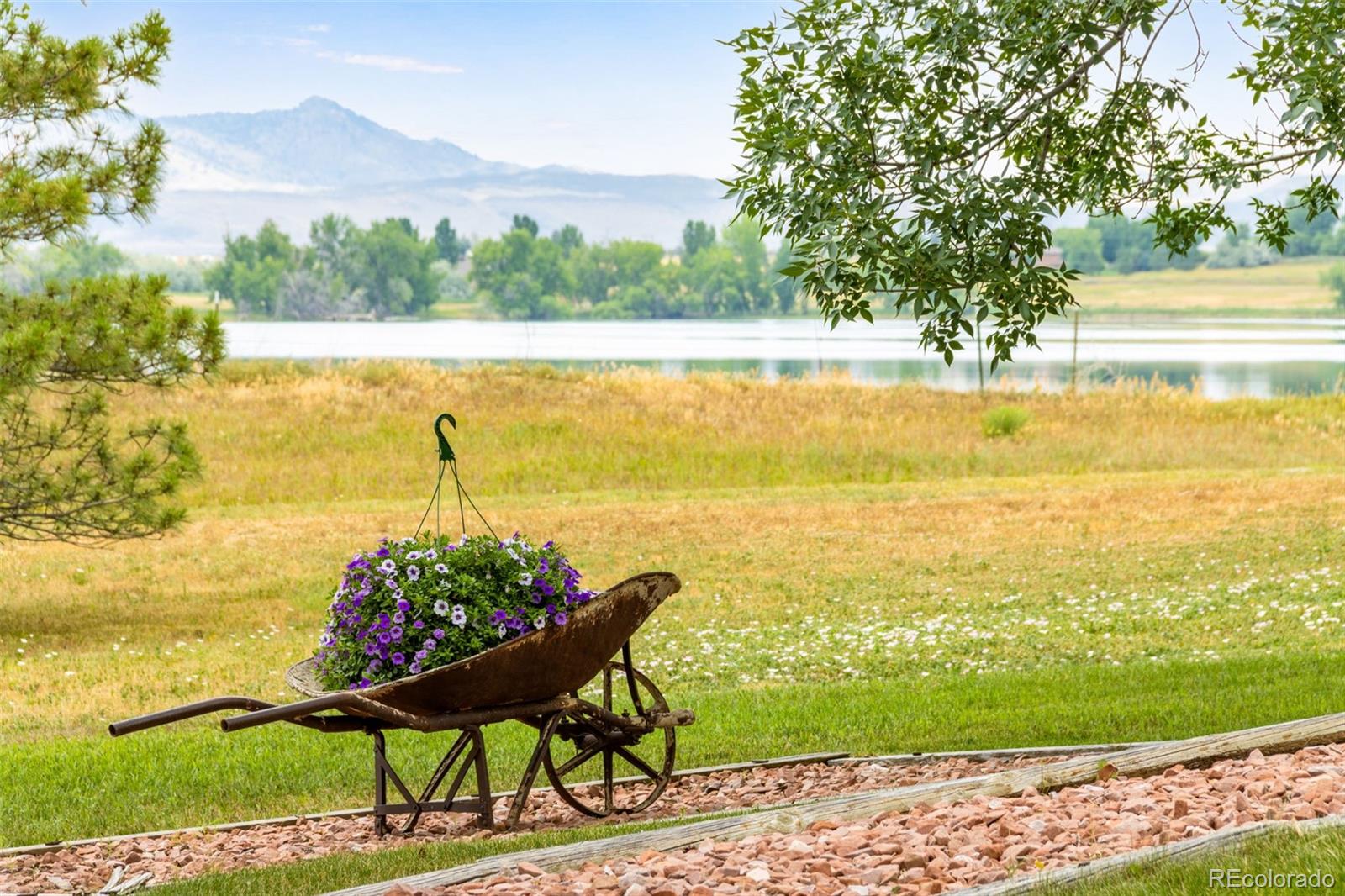 MLS Image #8 for 4410 n county road 13 ,fort collins, Colorado