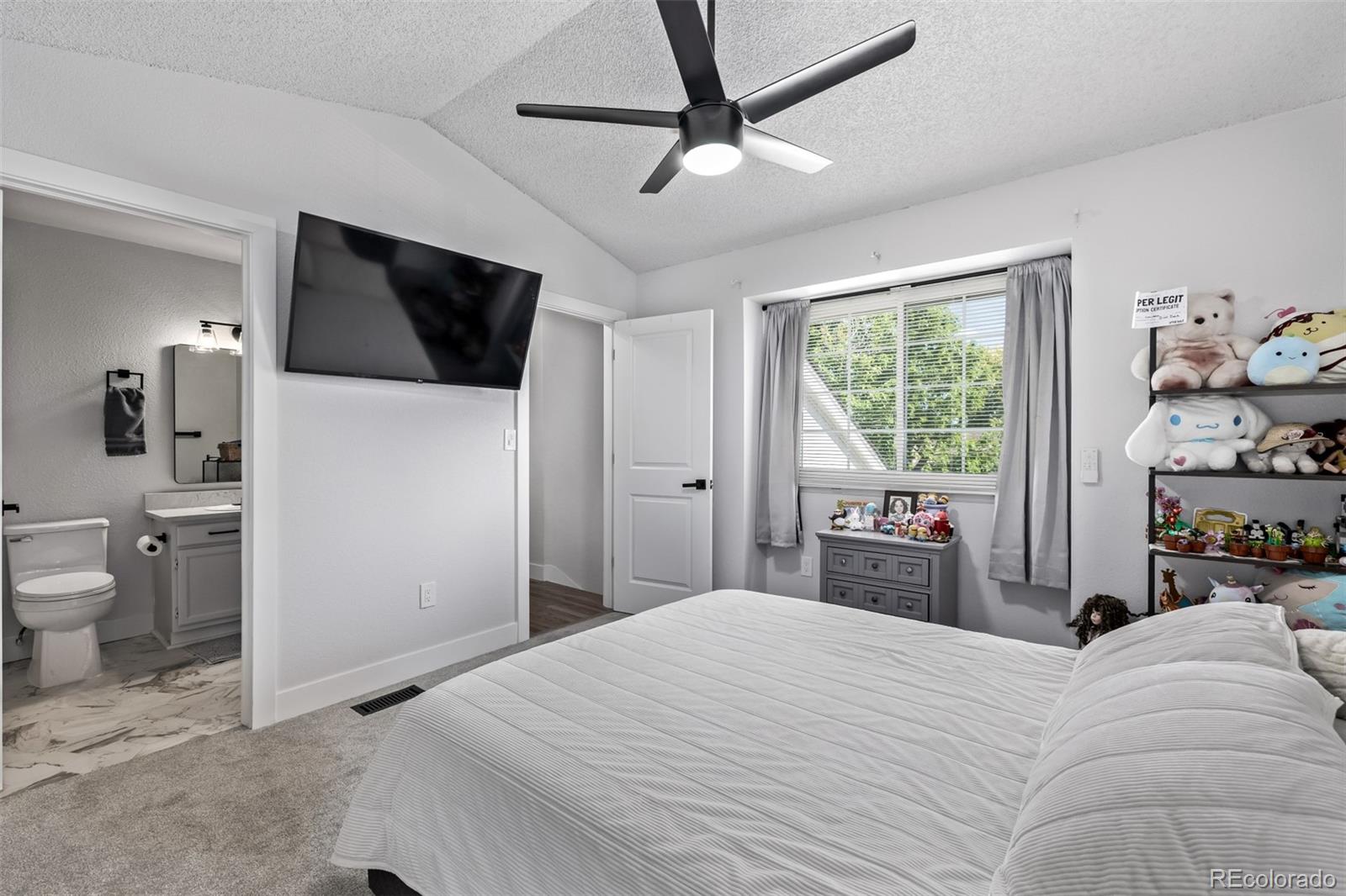 MLS Image #20 for 1146  cherry blossom court,highlands ranch, Colorado