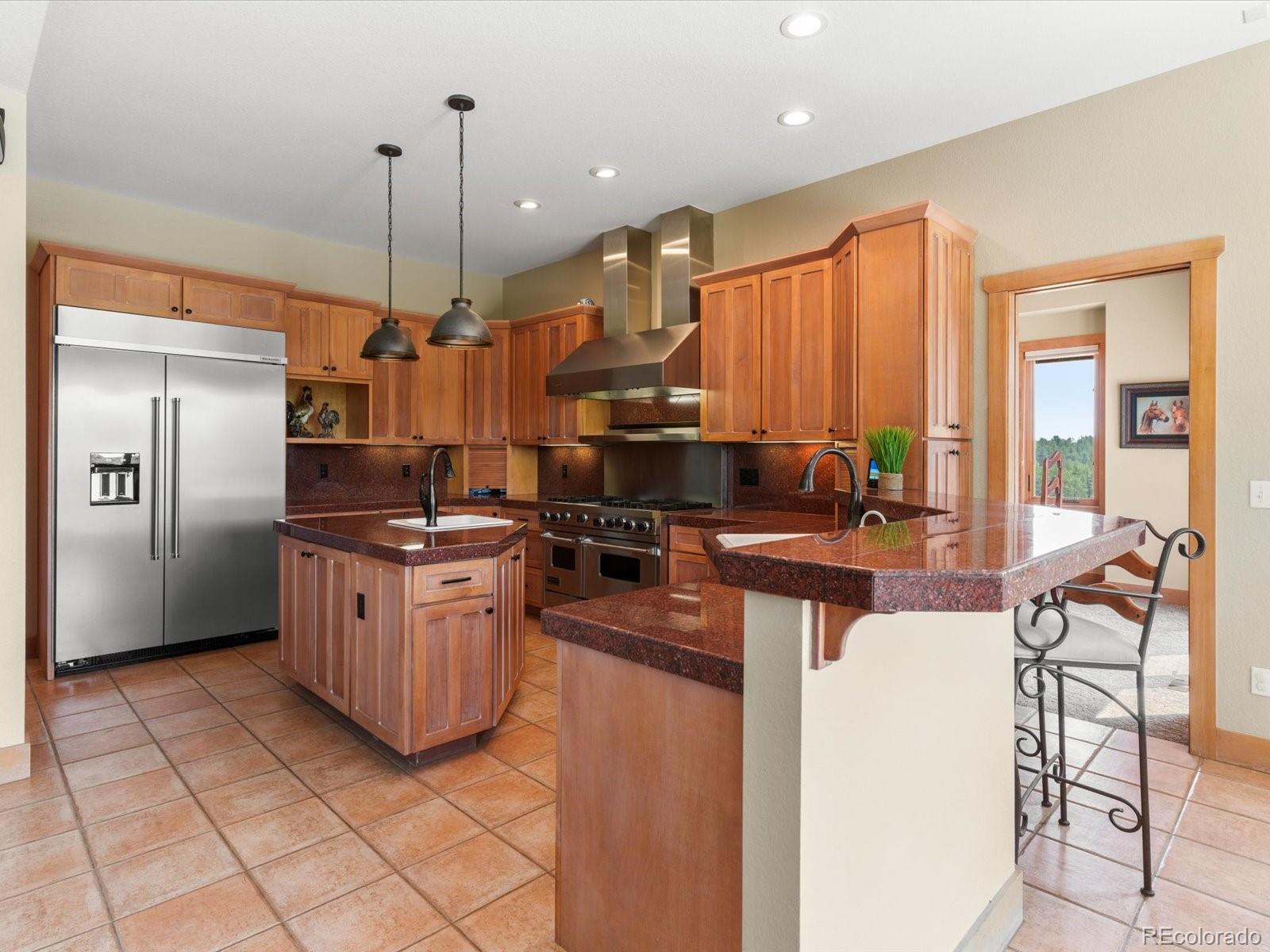 MLS Image #10 for 1611  castle pointe drive,castle rock, Colorado