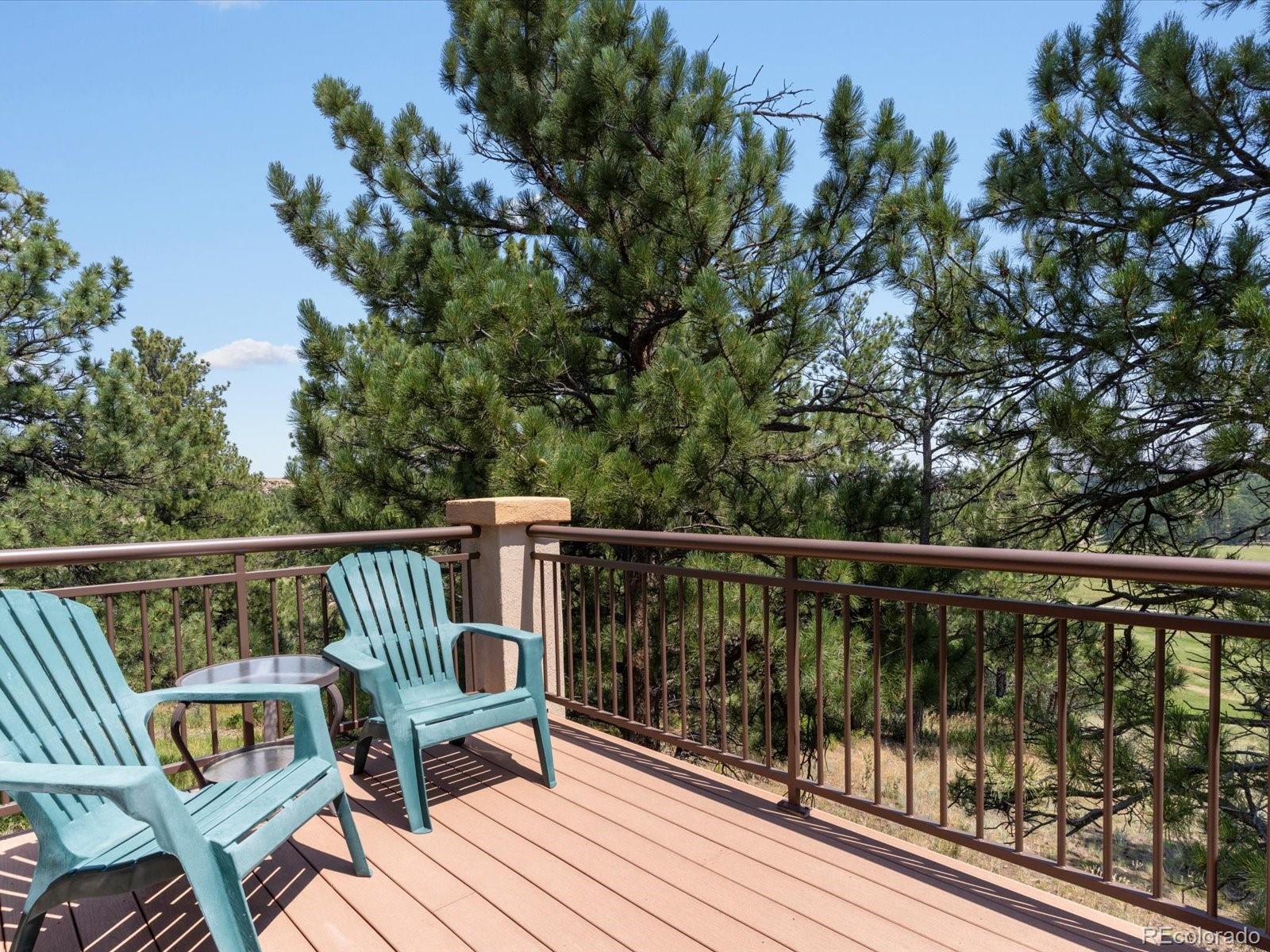 MLS Image #21 for 1611  castle pointe drive,castle rock, Colorado
