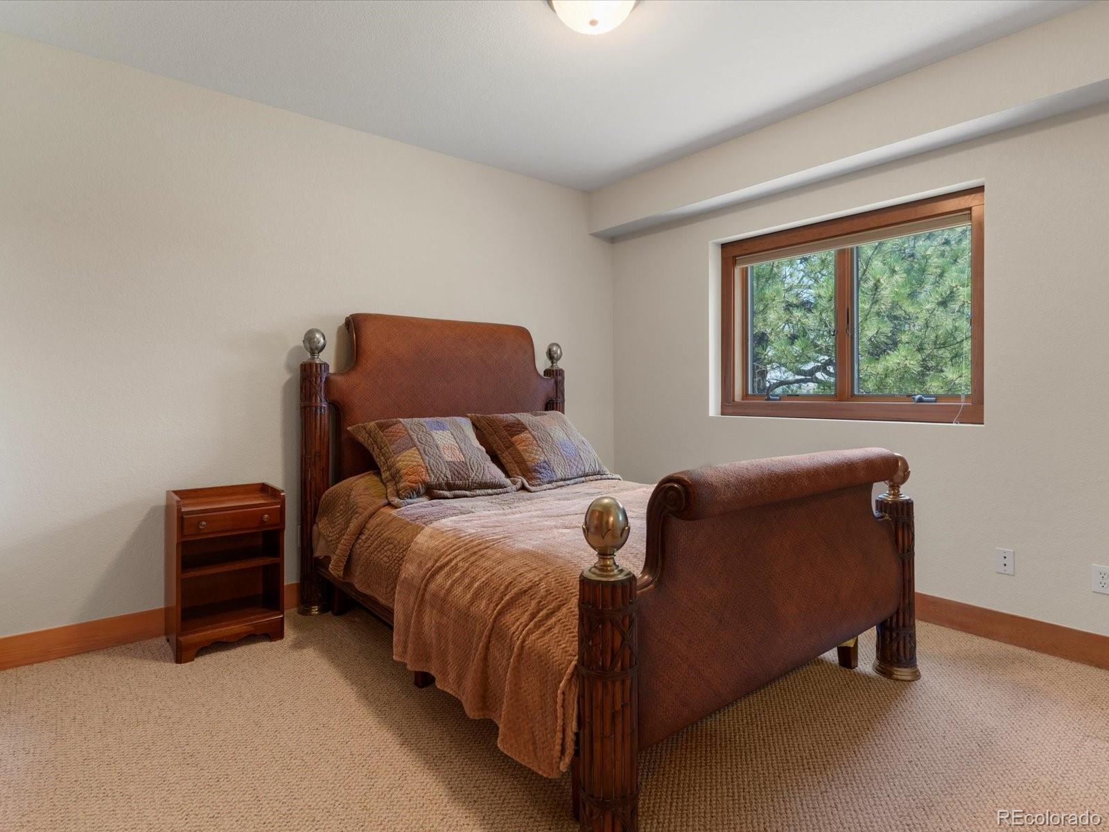 MLS Image #33 for 1611  castle pointe drive,castle rock, Colorado