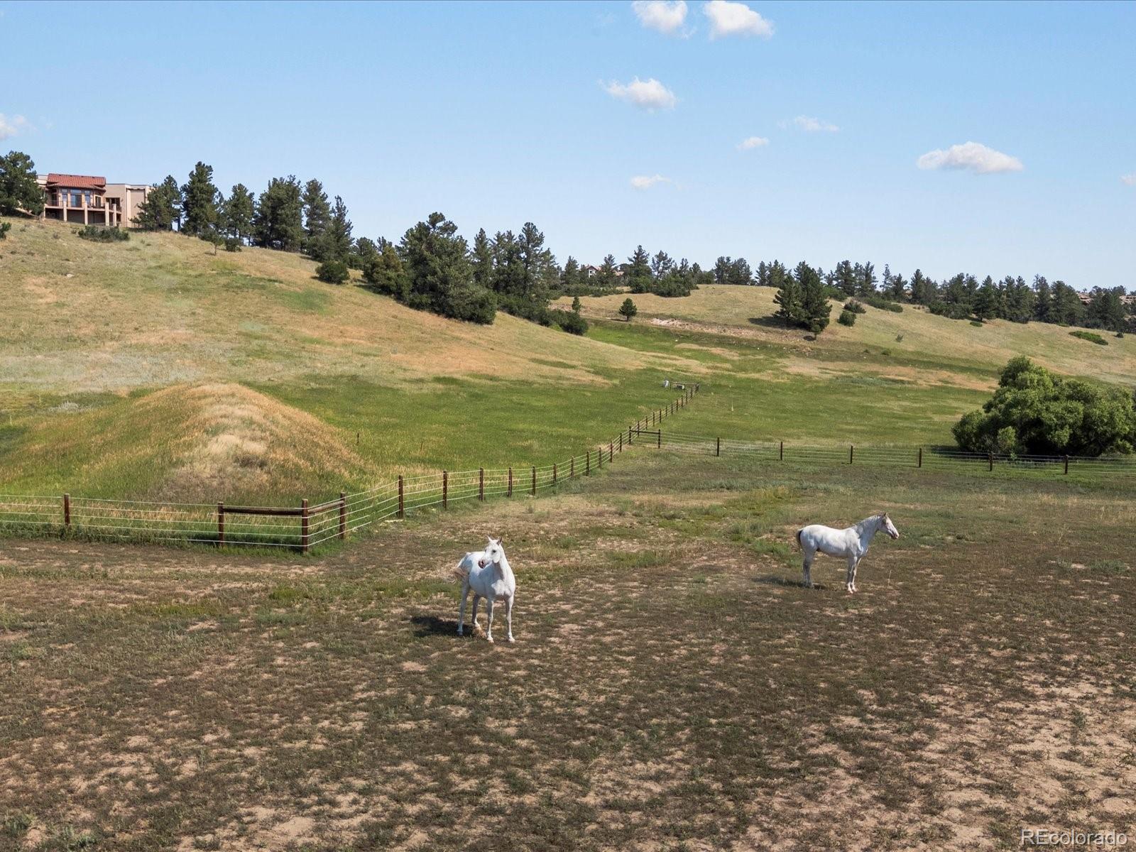 MLS Image #43 for 1611  castle pointe drive,castle rock, Colorado