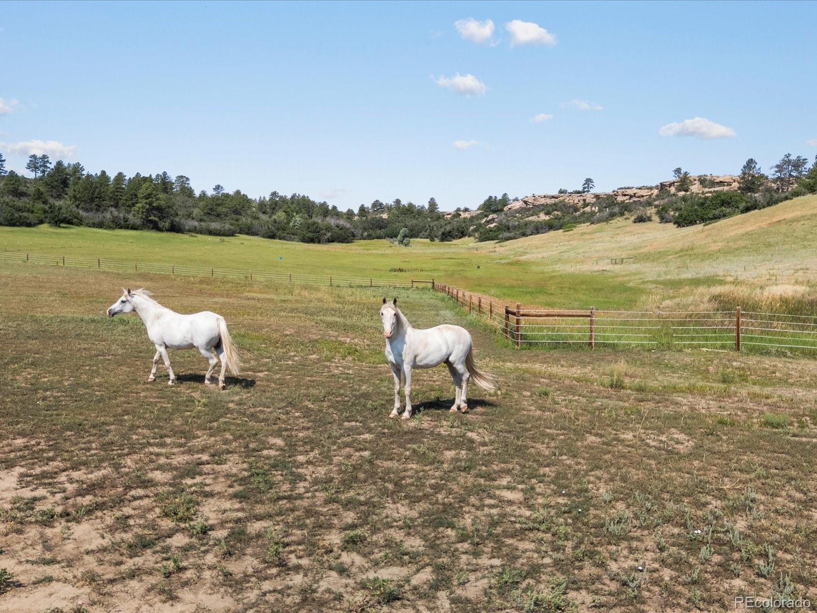 MLS Image #44 for 1611  castle pointe drive,castle rock, Colorado