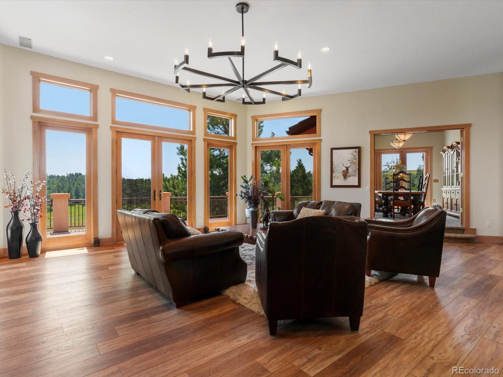MLS Image #8 for 1611  castle pointe drive,castle rock, Colorado