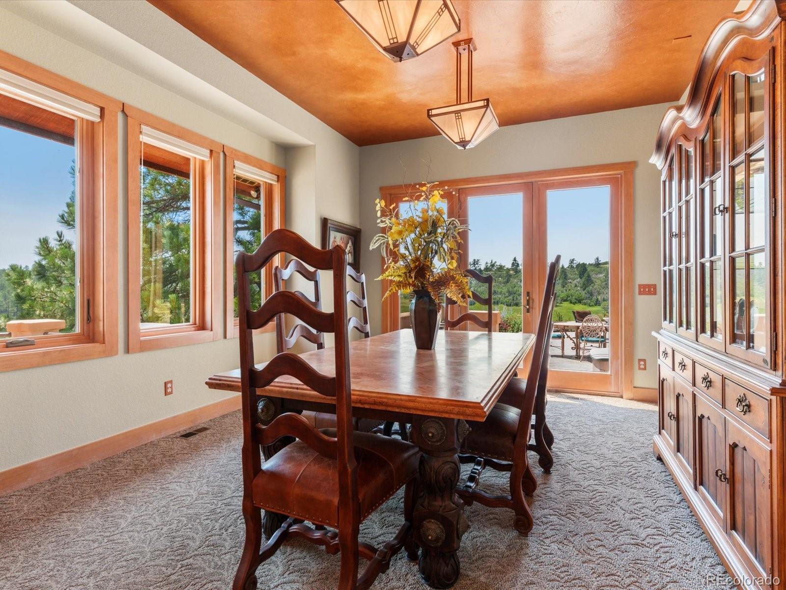 MLS Image #9 for 1611  castle pointe drive,castle rock, Colorado