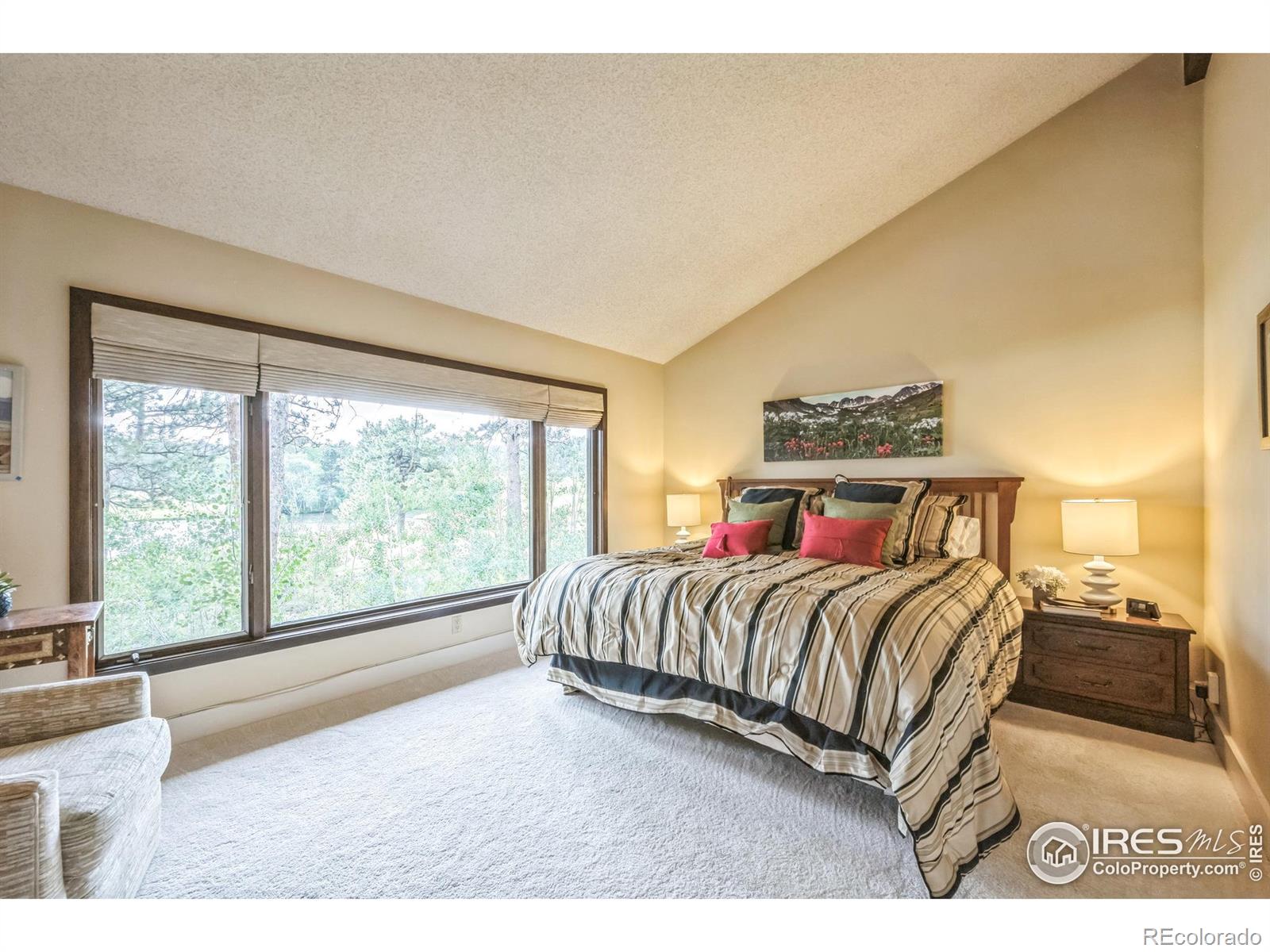 MLS Image #10 for 220  fox acres drive,red feather lakes, Colorado