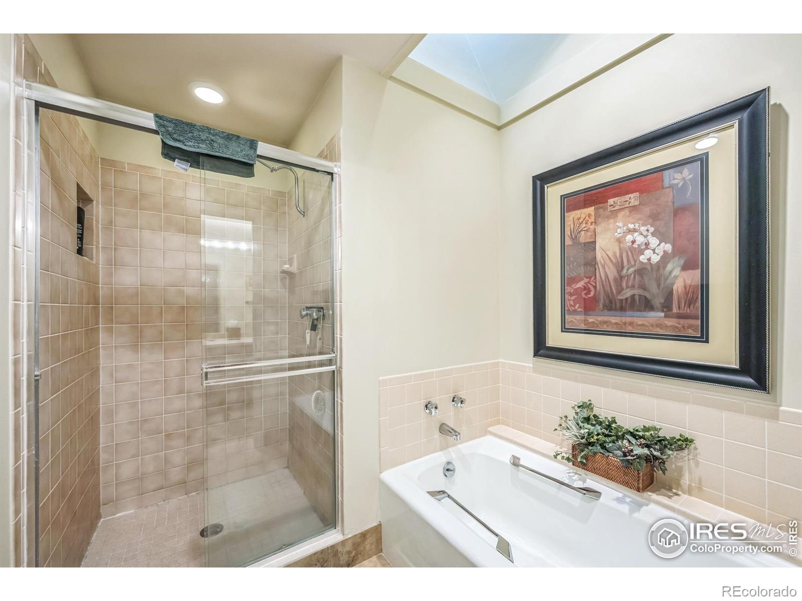 MLS Image #11 for 220  fox acres drive,red feather lakes, Colorado