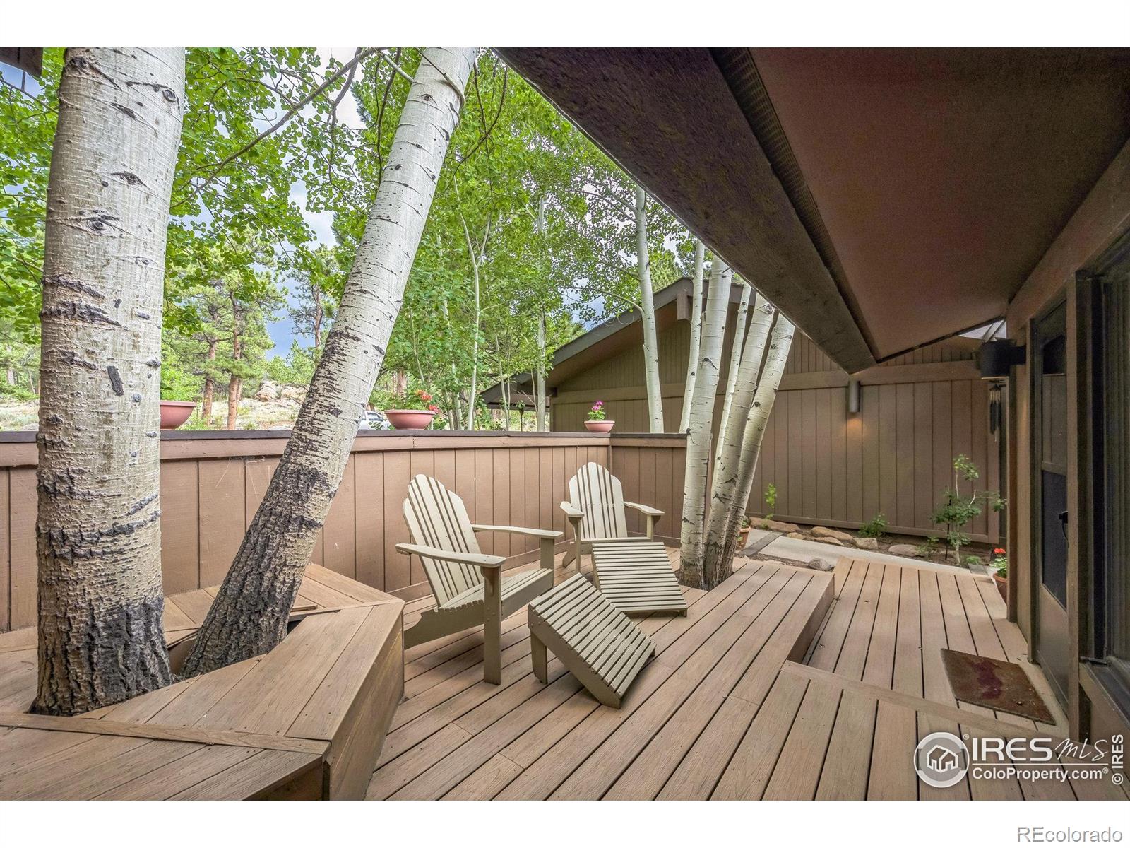 MLS Image #19 for 220  fox acres drive,red feather lakes, Colorado