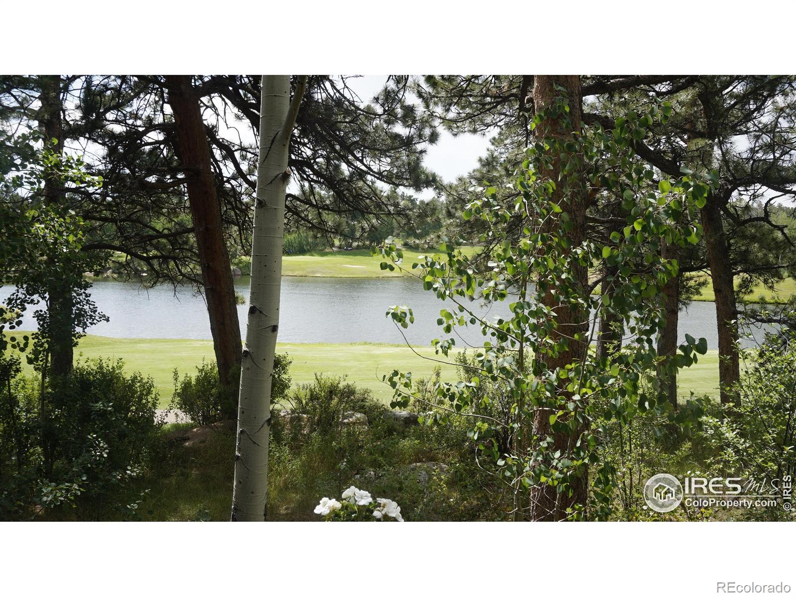 MLS Image #2 for 220  fox acres drive,red feather lakes, Colorado
