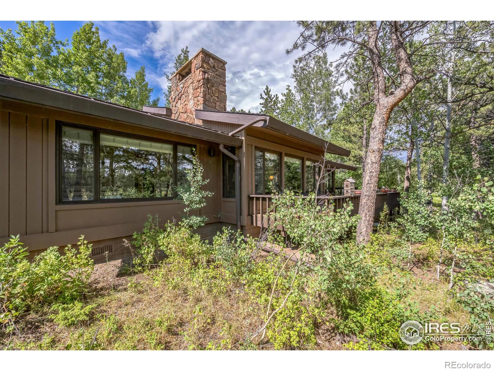 MLS Image #22 for 220  fox acres drive,red feather lakes, Colorado