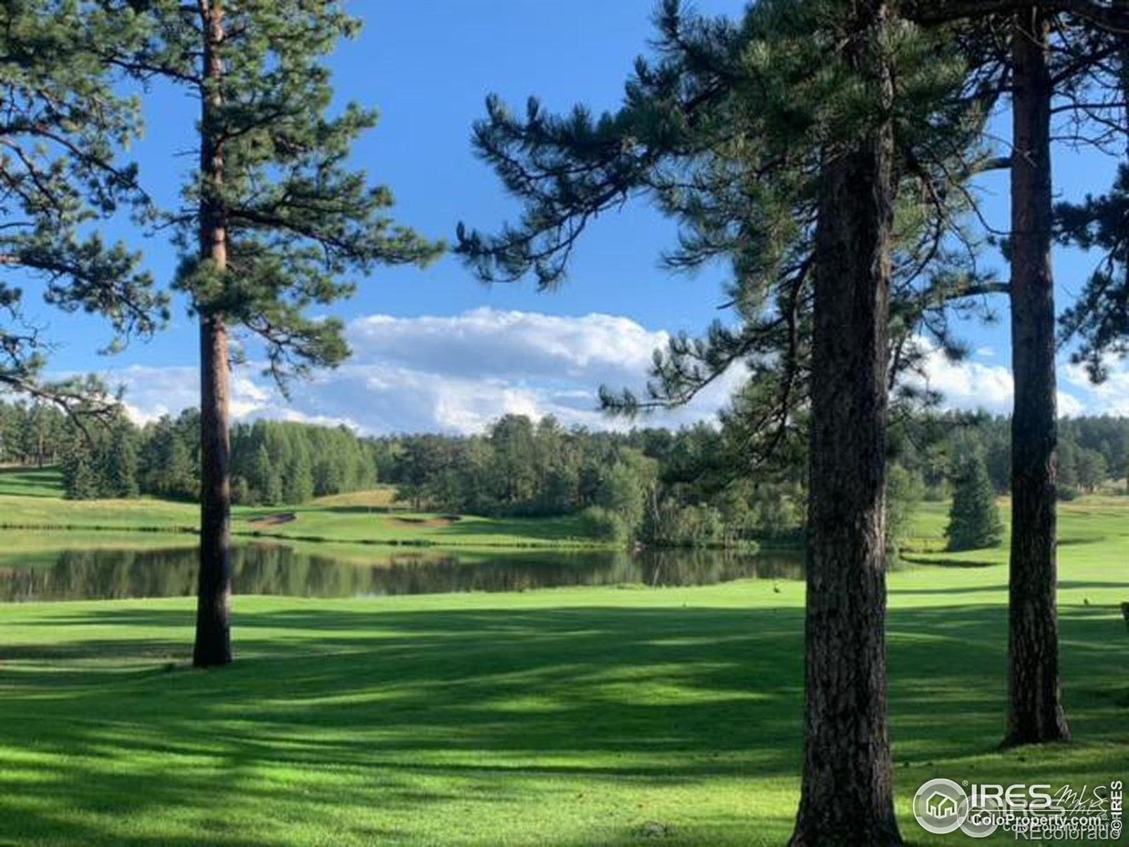 MLS Image #23 for 220  fox acres drive,red feather lakes, Colorado