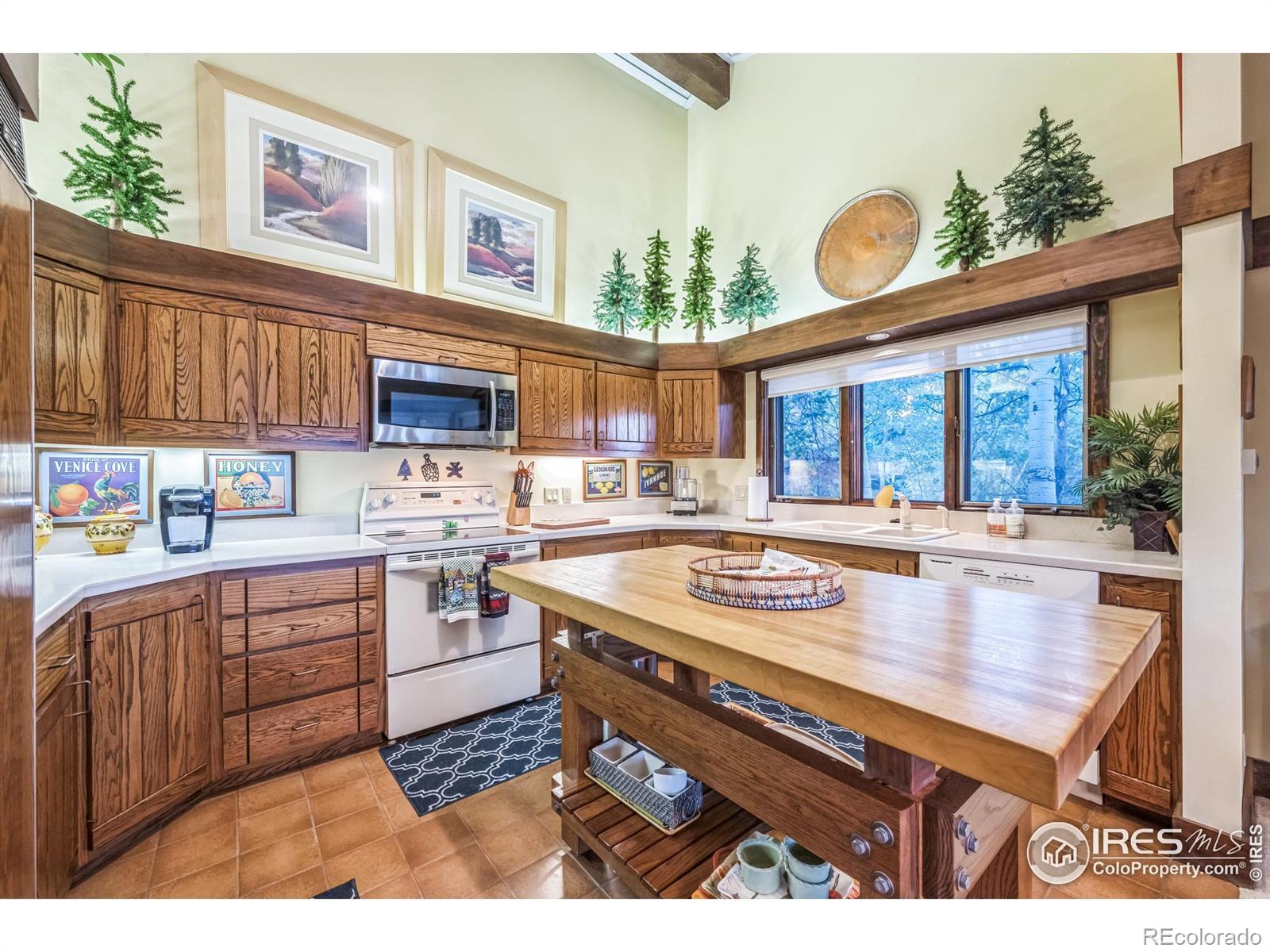 MLS Image #9 for 220  fox acres drive,red feather lakes, Colorado