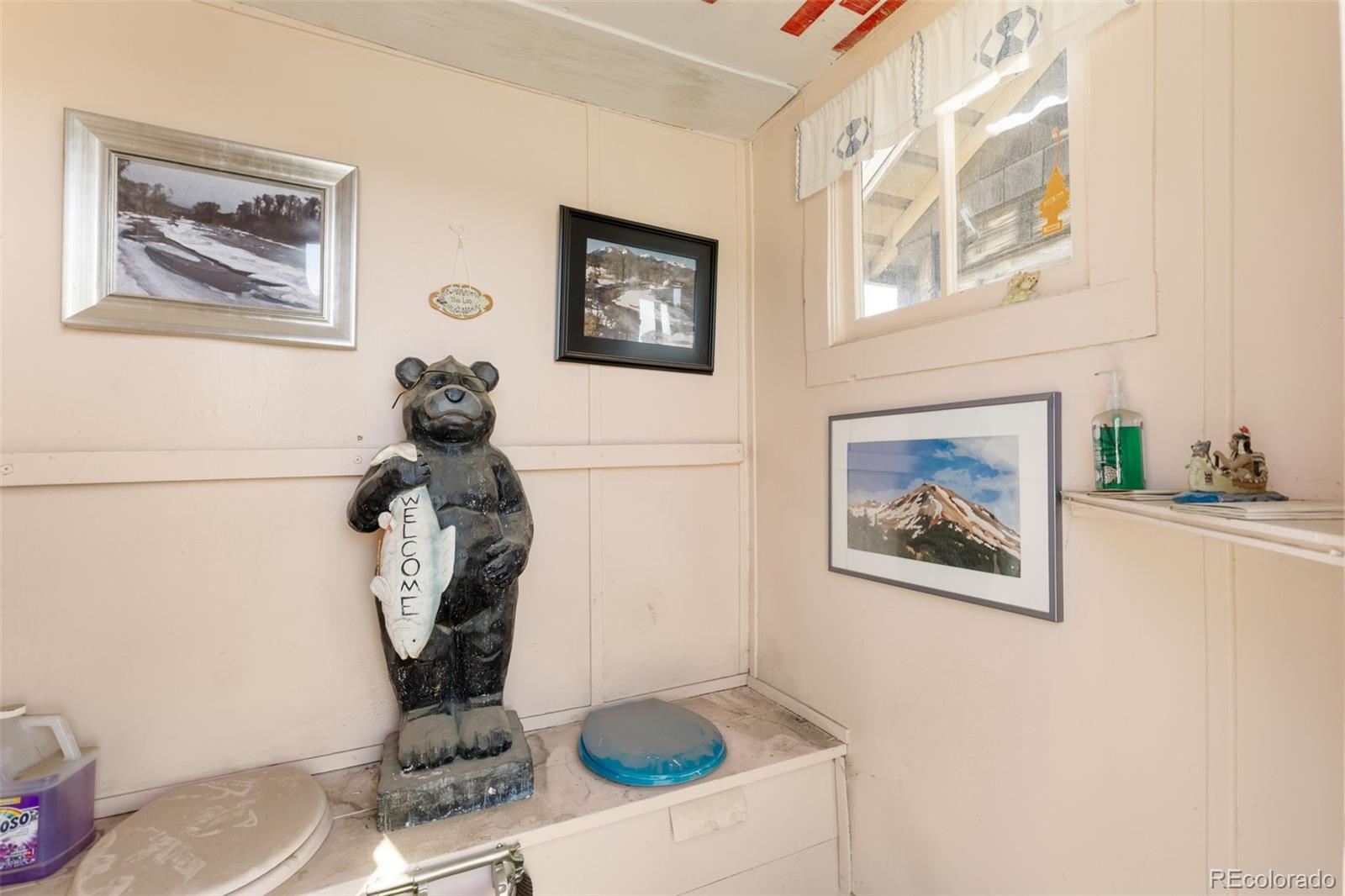 MLS Image #45 for 154  mariposa street,hartsel, Colorado