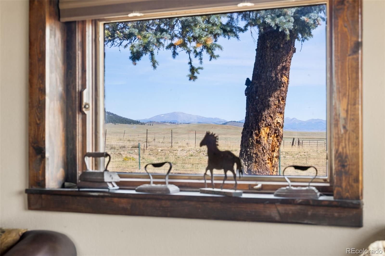 MLS Image #6 for 154  mariposa street,hartsel, Colorado