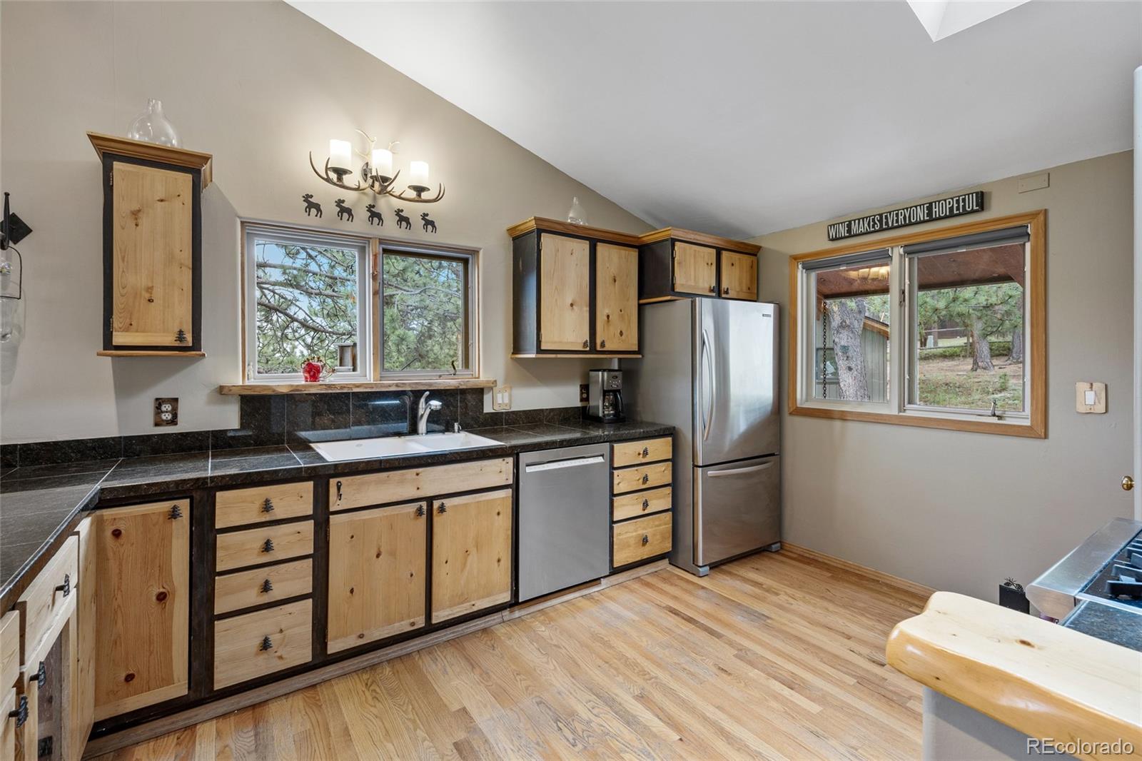 MLS Image #10 for 193  twilight terrace drive,bailey, Colorado