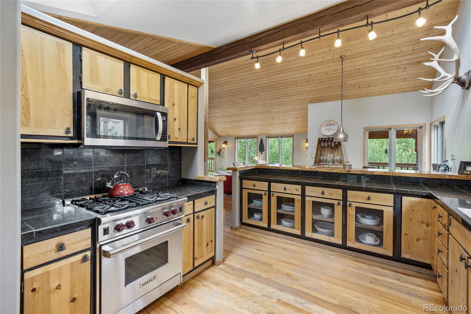 MLS Image #11 for 193  twilight terrace drive,bailey, Colorado