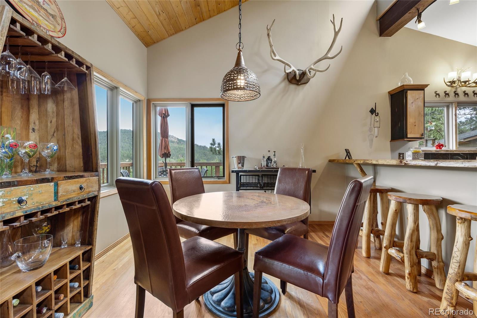 MLS Image #13 for 193  twilight terrace drive,bailey, Colorado
