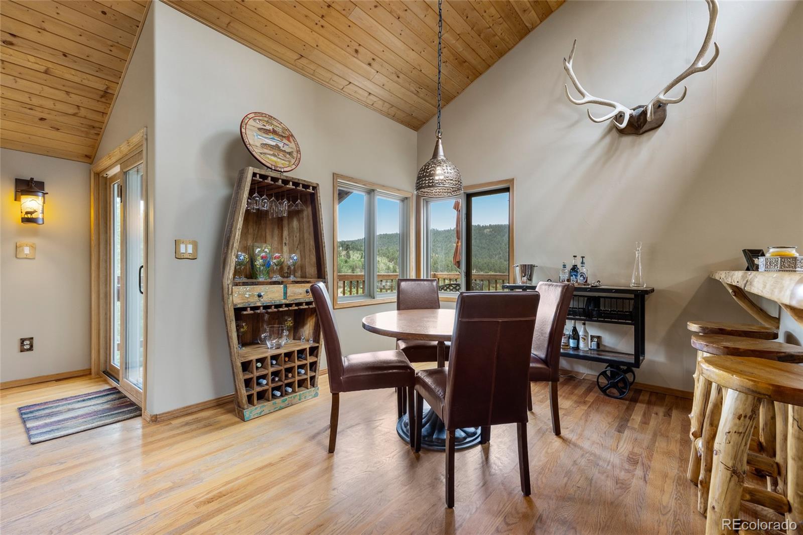 MLS Image #14 for 193  twilight terrace drive,bailey, Colorado