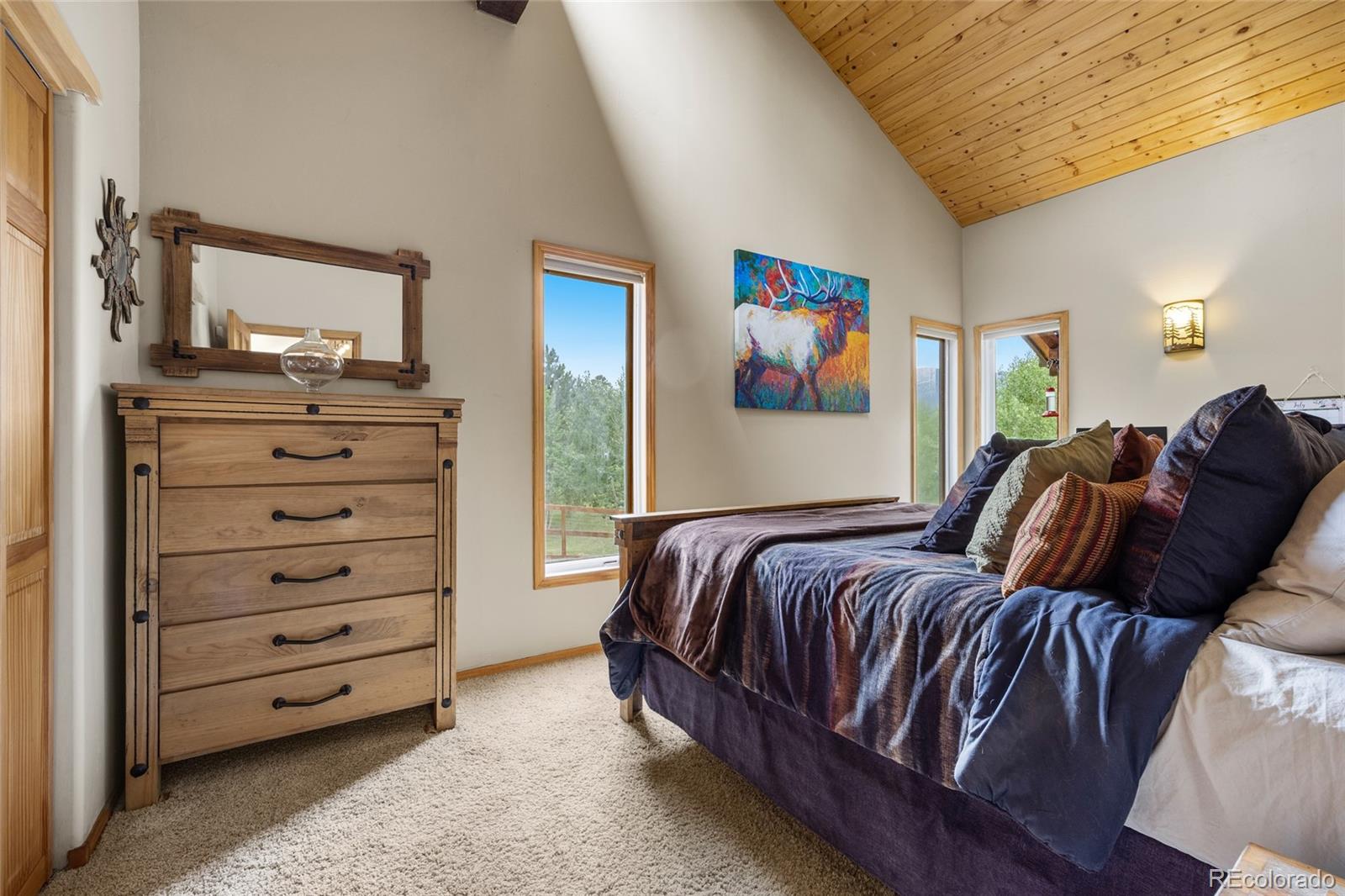 MLS Image #20 for 193  twilight terrace drive,bailey, Colorado