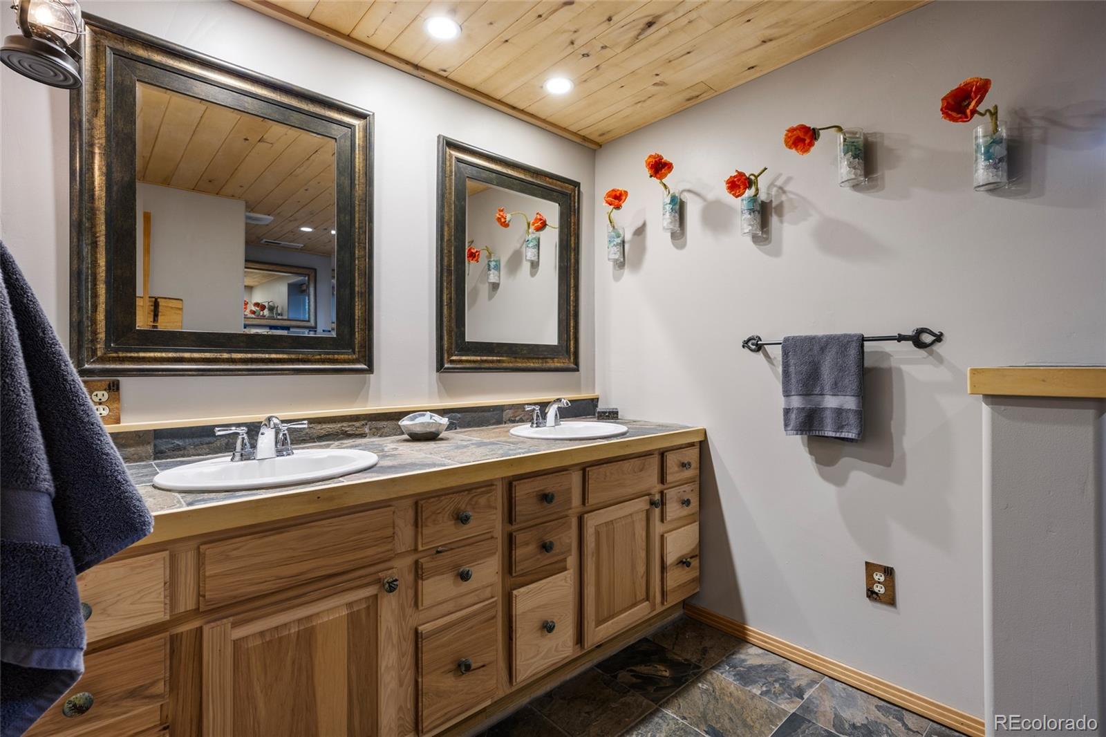 MLS Image #31 for 193  twilight terrace drive,bailey, Colorado
