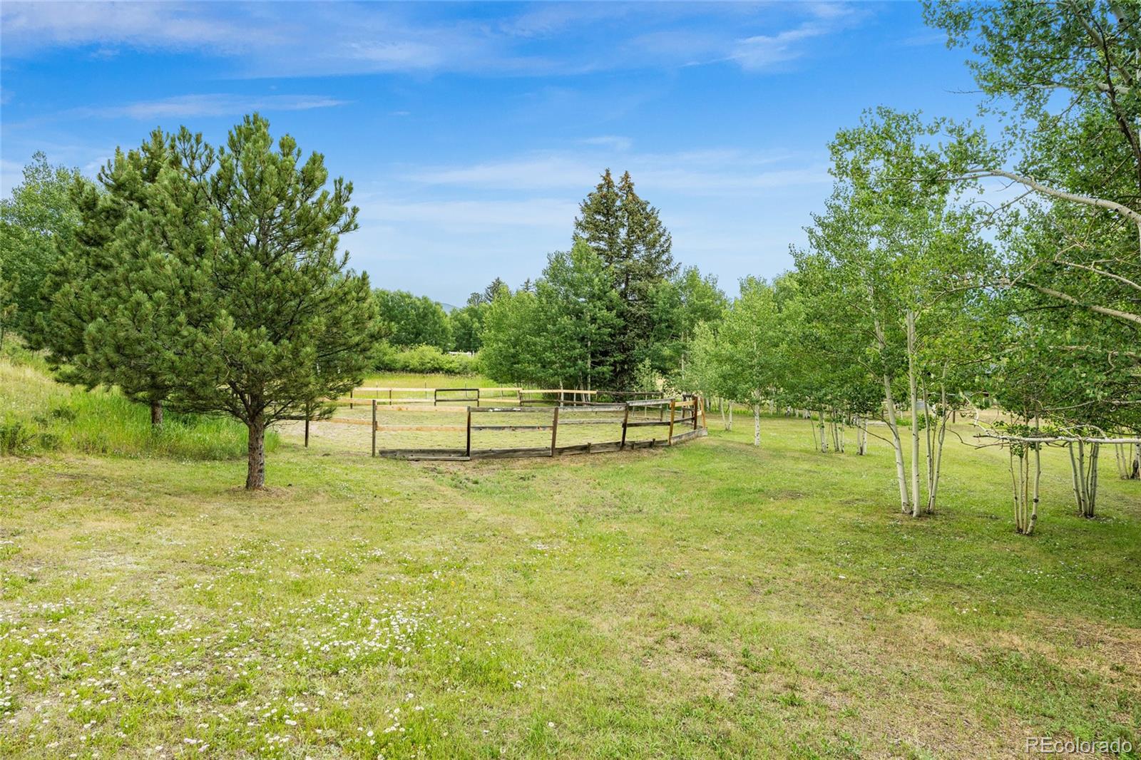 MLS Image #40 for 193  twilight terrace drive,bailey, Colorado