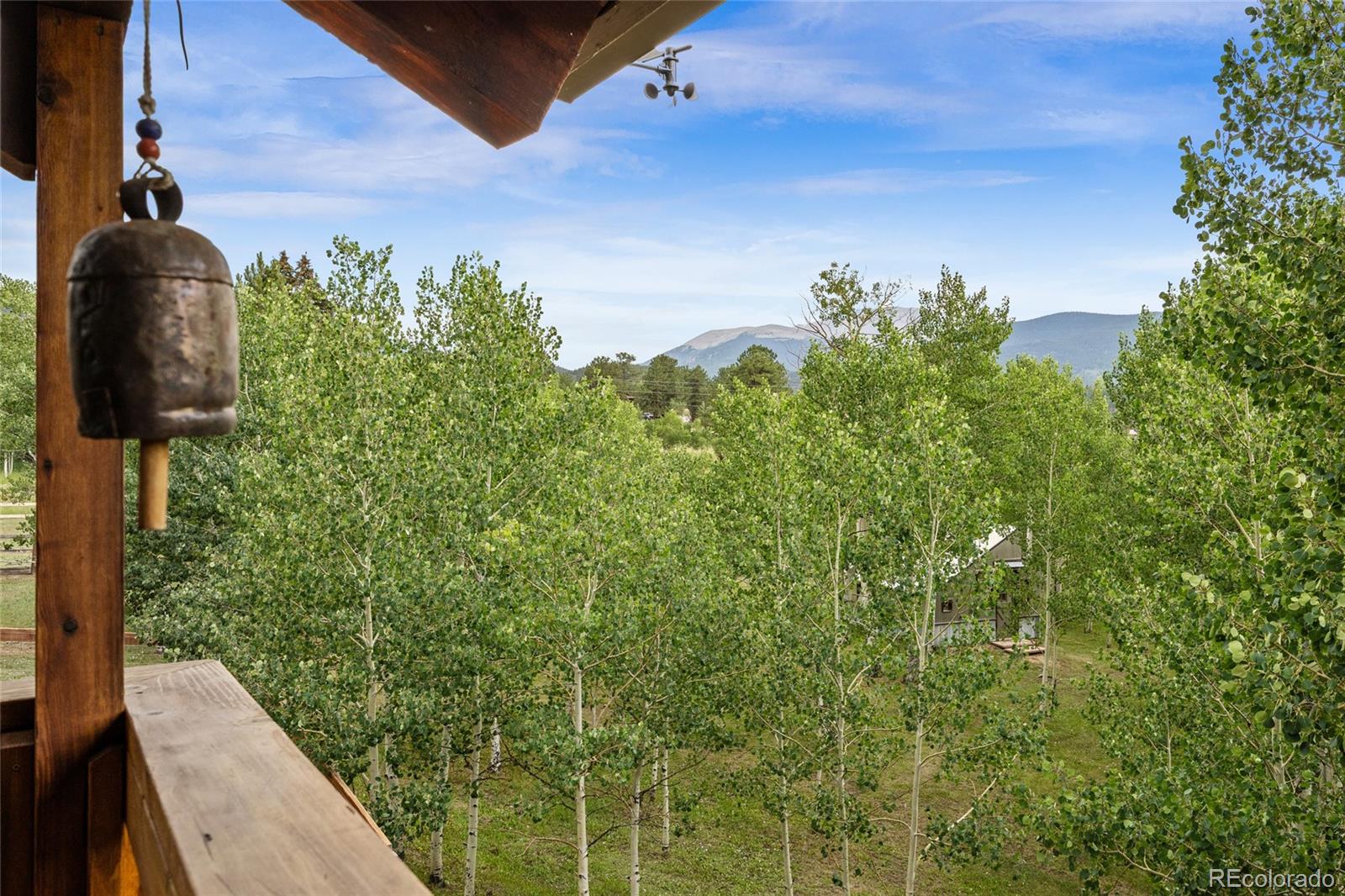 MLS Image #6 for 193  twilight terrace drive,bailey, Colorado