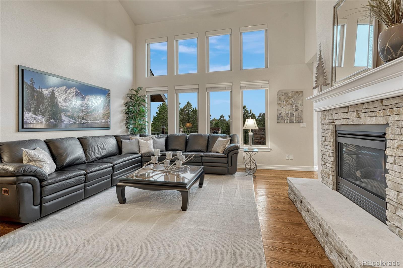 MLS Image #13 for 14745  millhaven place,colorado springs, Colorado