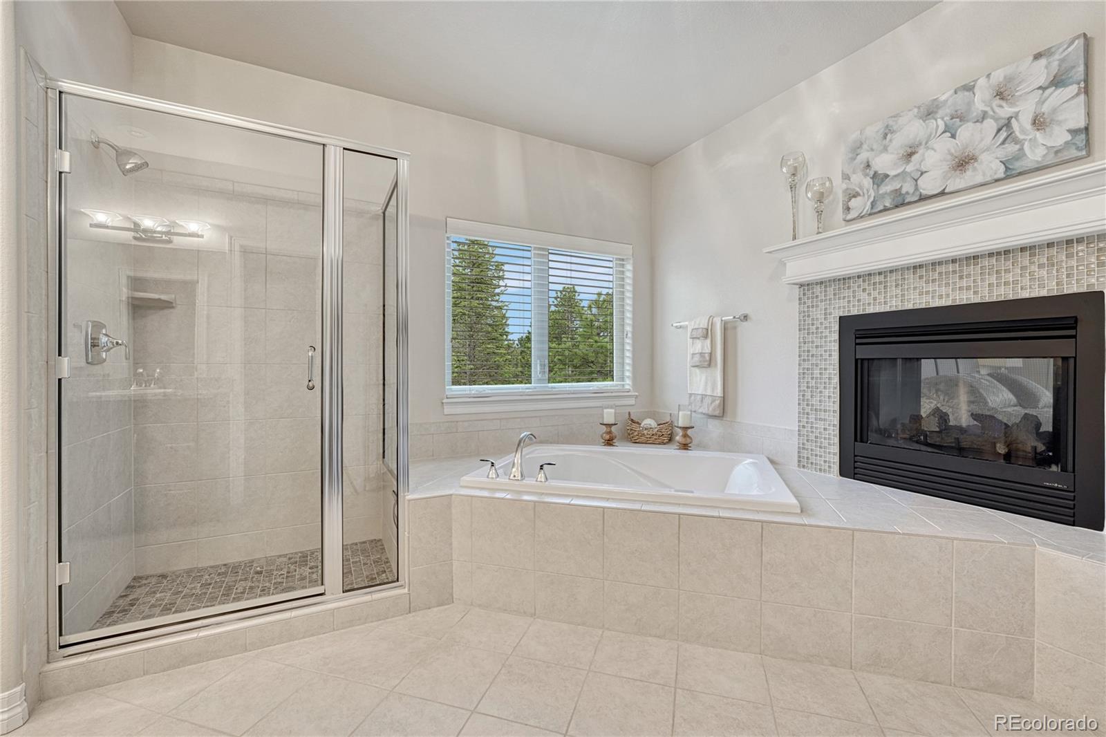 MLS Image #19 for 14745  millhaven place,colorado springs, Colorado