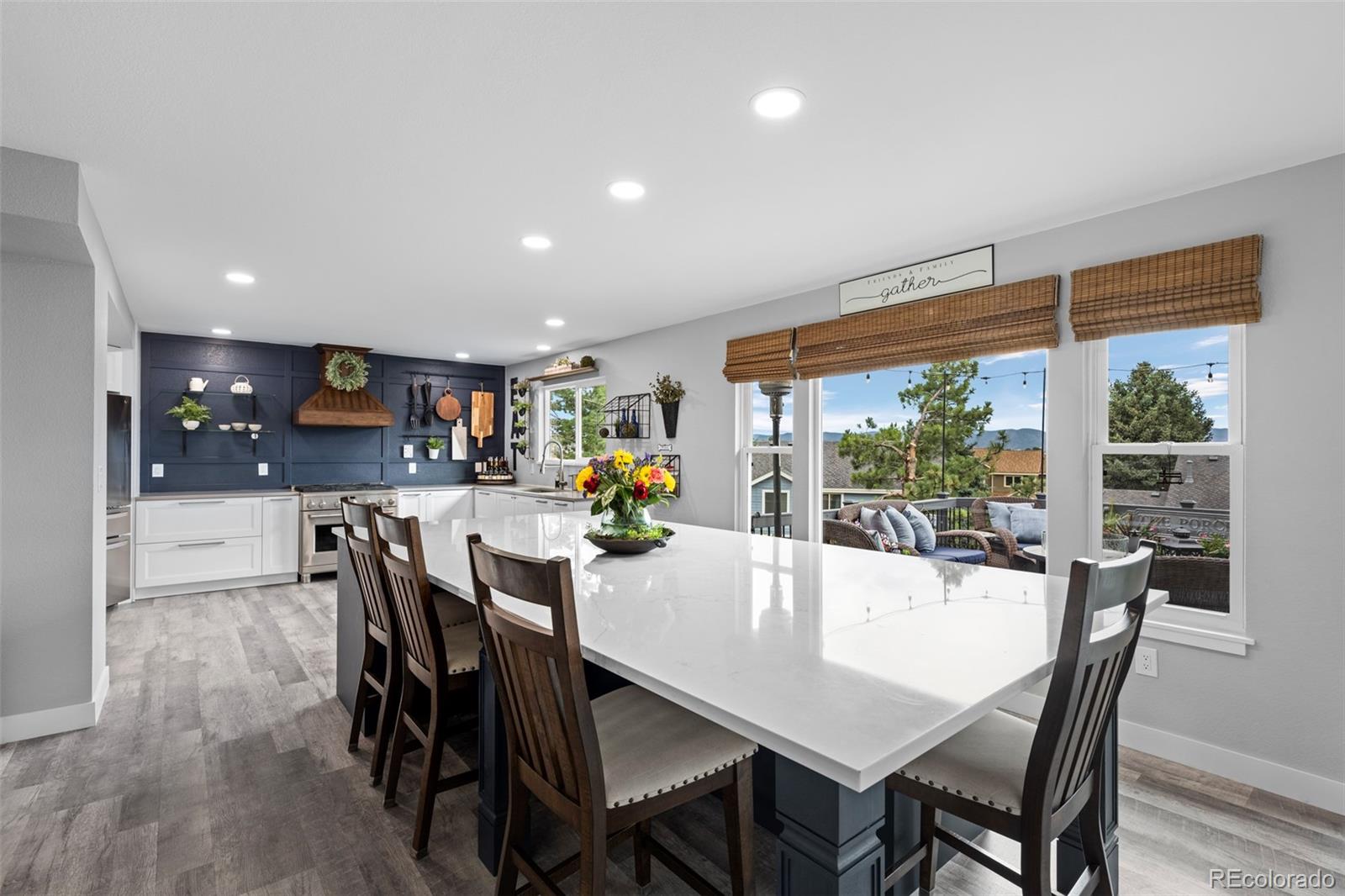 MLS Image #14 for 2006  chelsea court,highlands ranch, Colorado