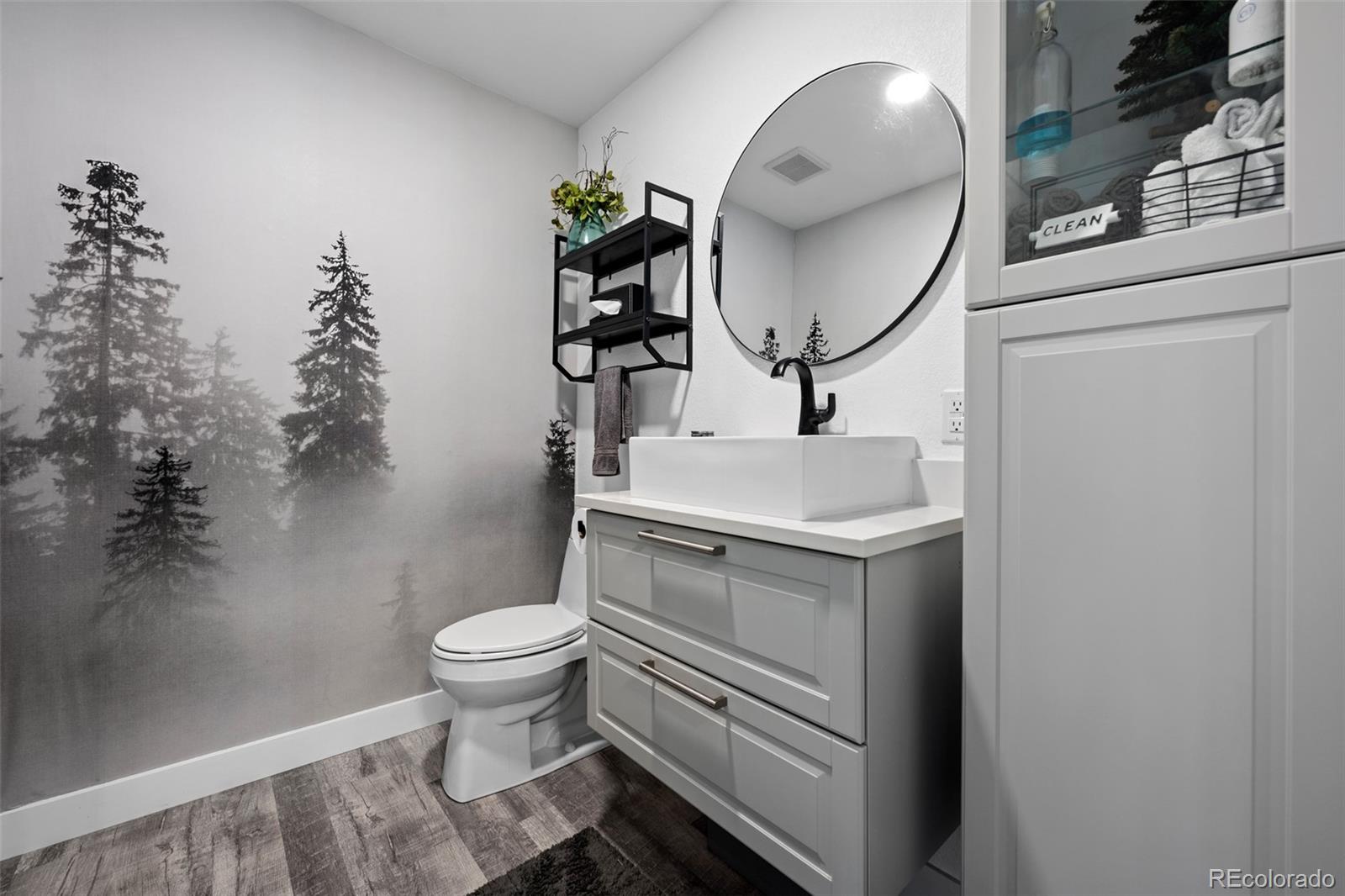 MLS Image #20 for 2006  chelsea court,highlands ranch, Colorado