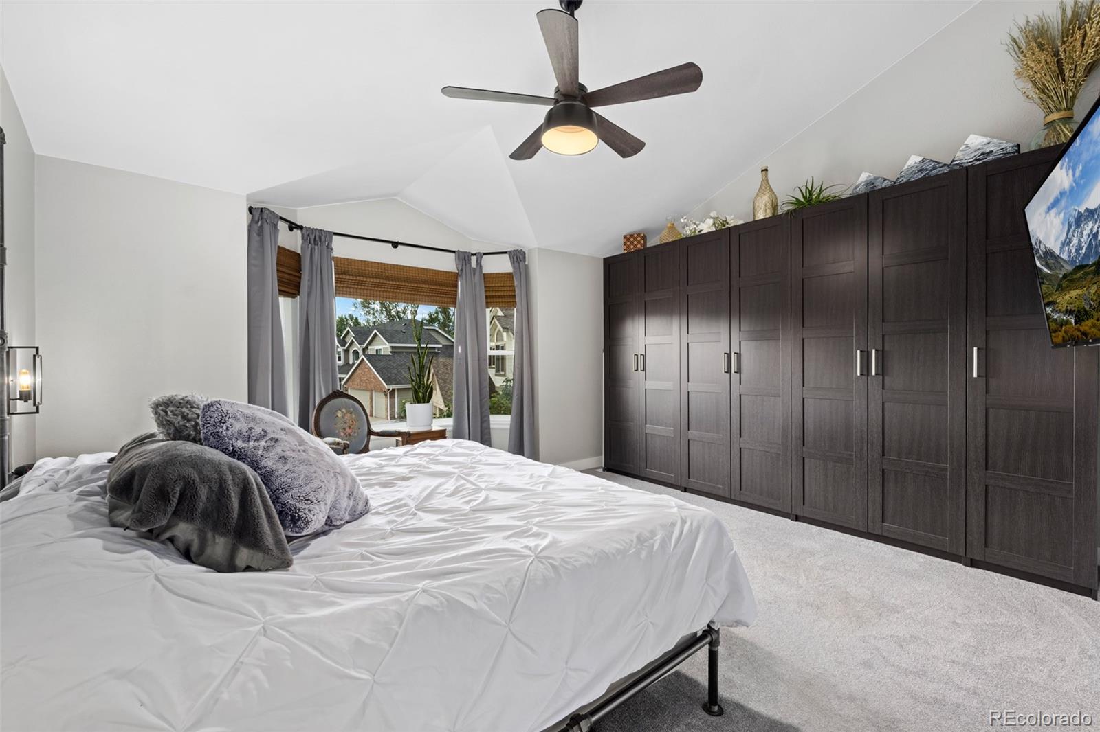 MLS Image #24 for 2006  chelsea court,highlands ranch, Colorado