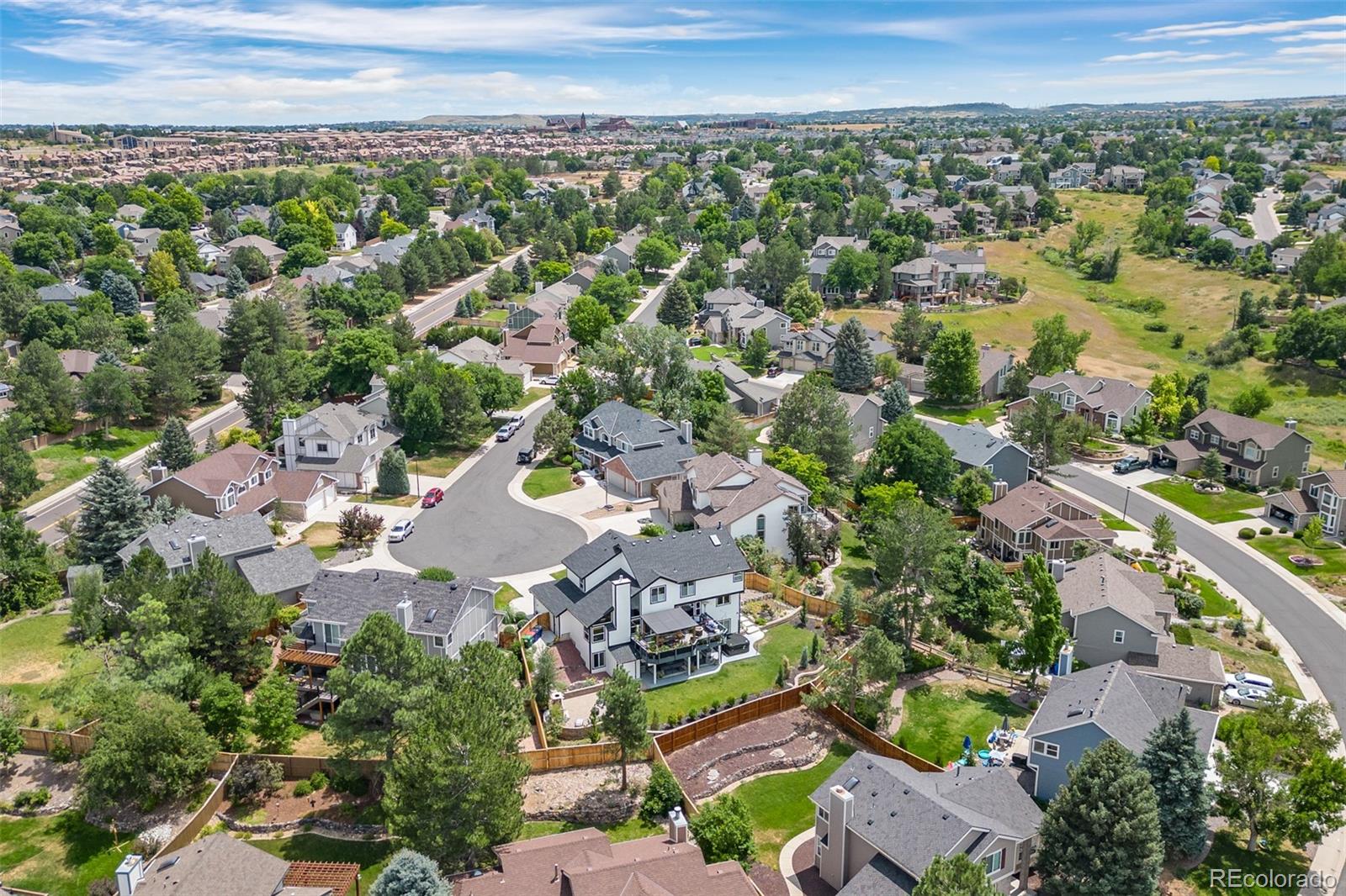 MLS Image #3 for 2006  chelsea court,highlands ranch, Colorado