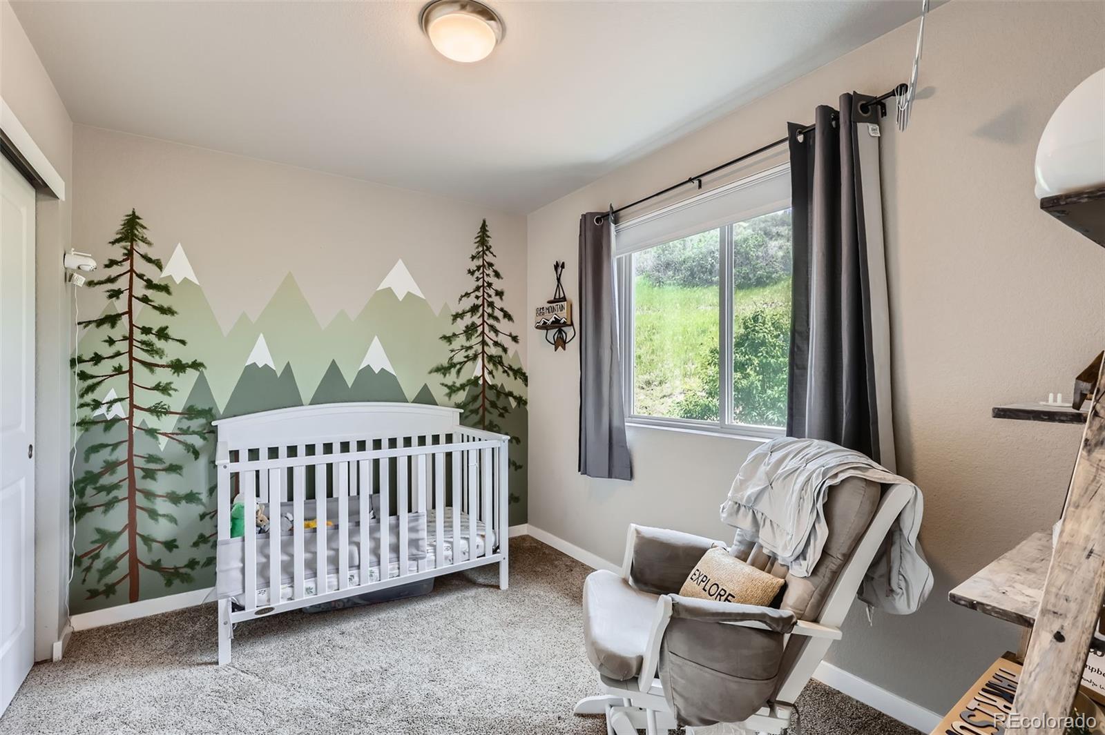 MLS Image #11 for 2484  valley oak road,castle rock, Colorado