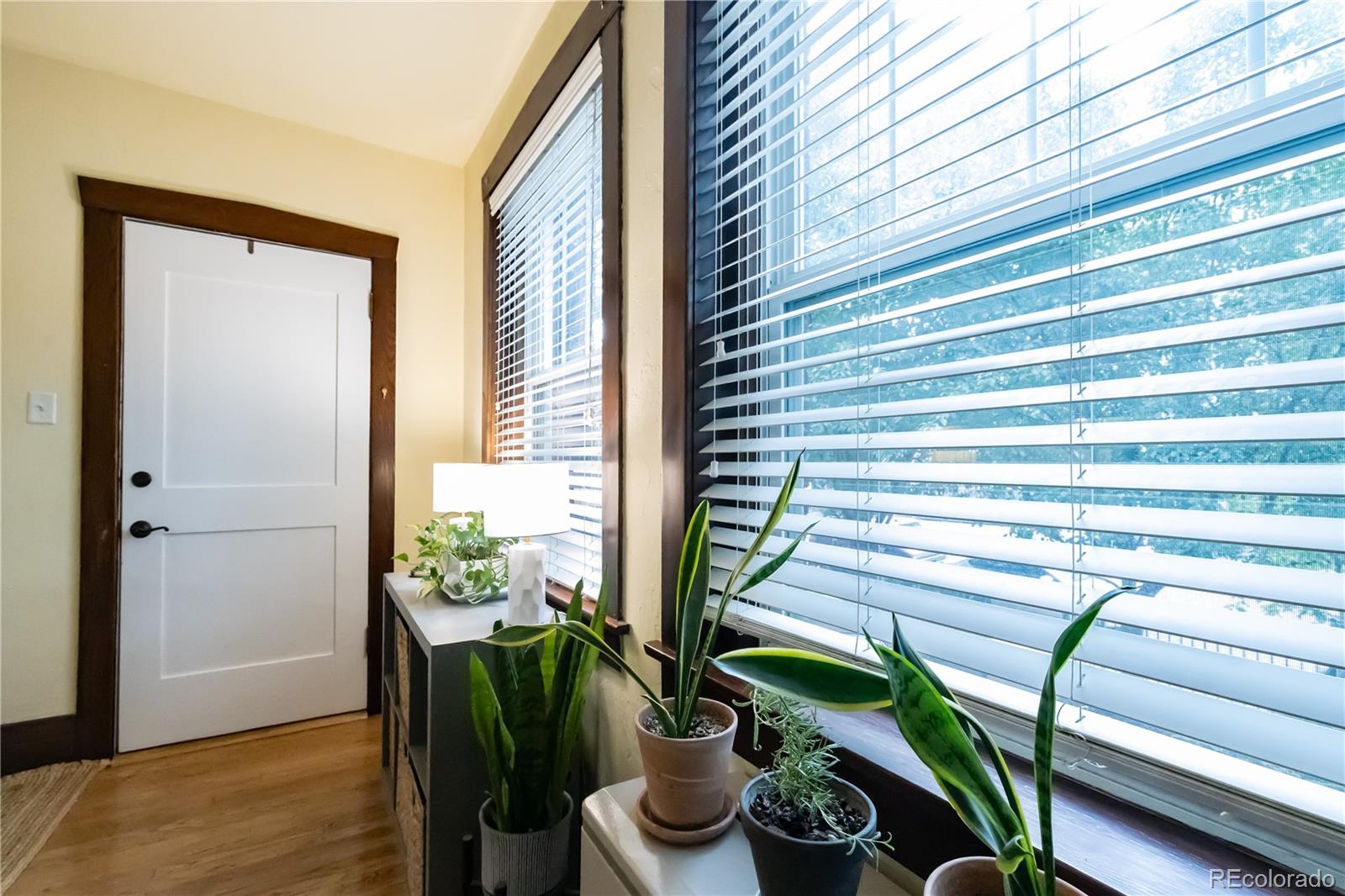 MLS Image #11 for 1415  steele street,denver, Colorado