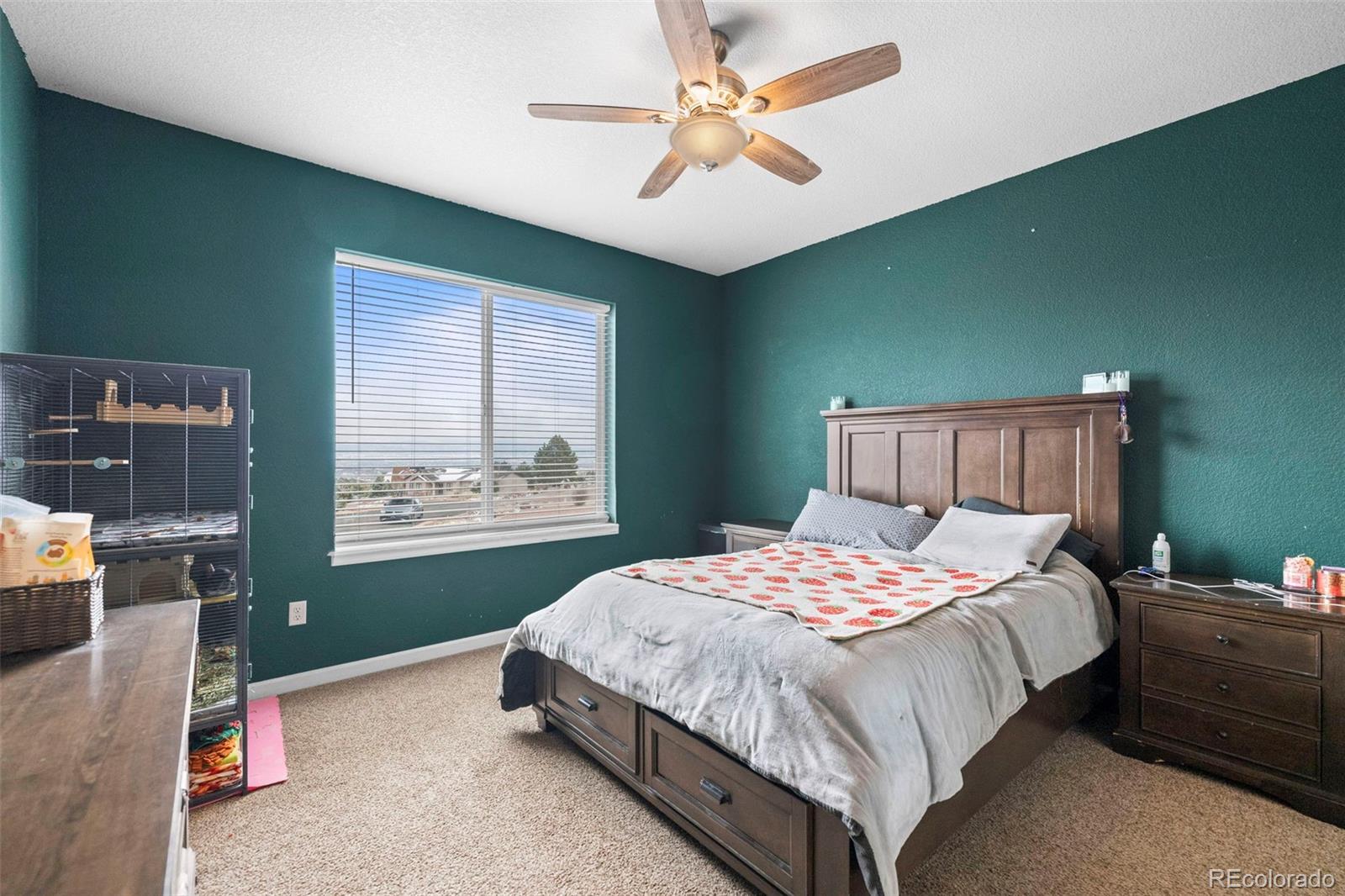 MLS Image #31 for 156  osprey court,canon city, Colorado