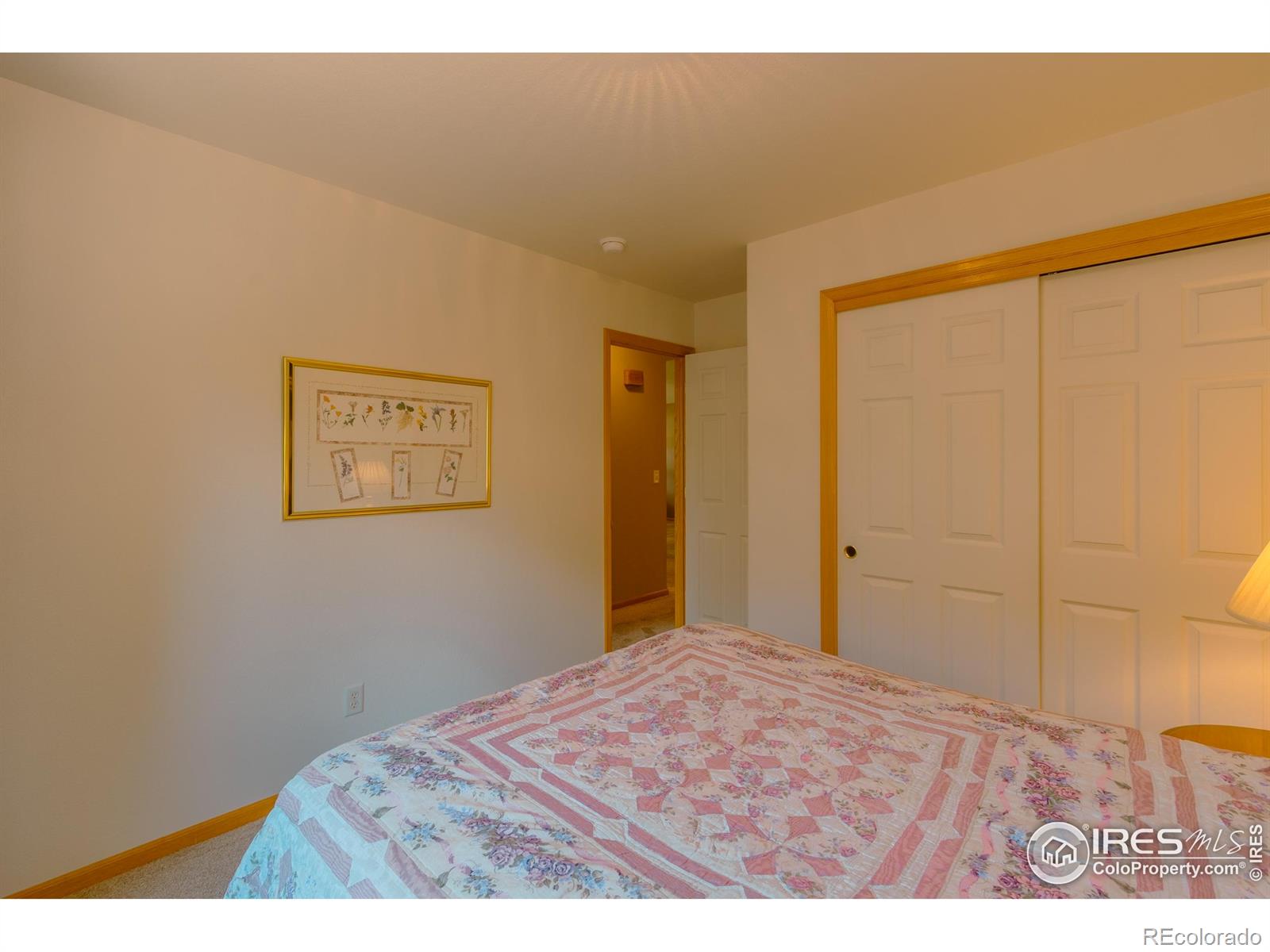 MLS Image #15 for 2504  winter park street,loveland, Colorado