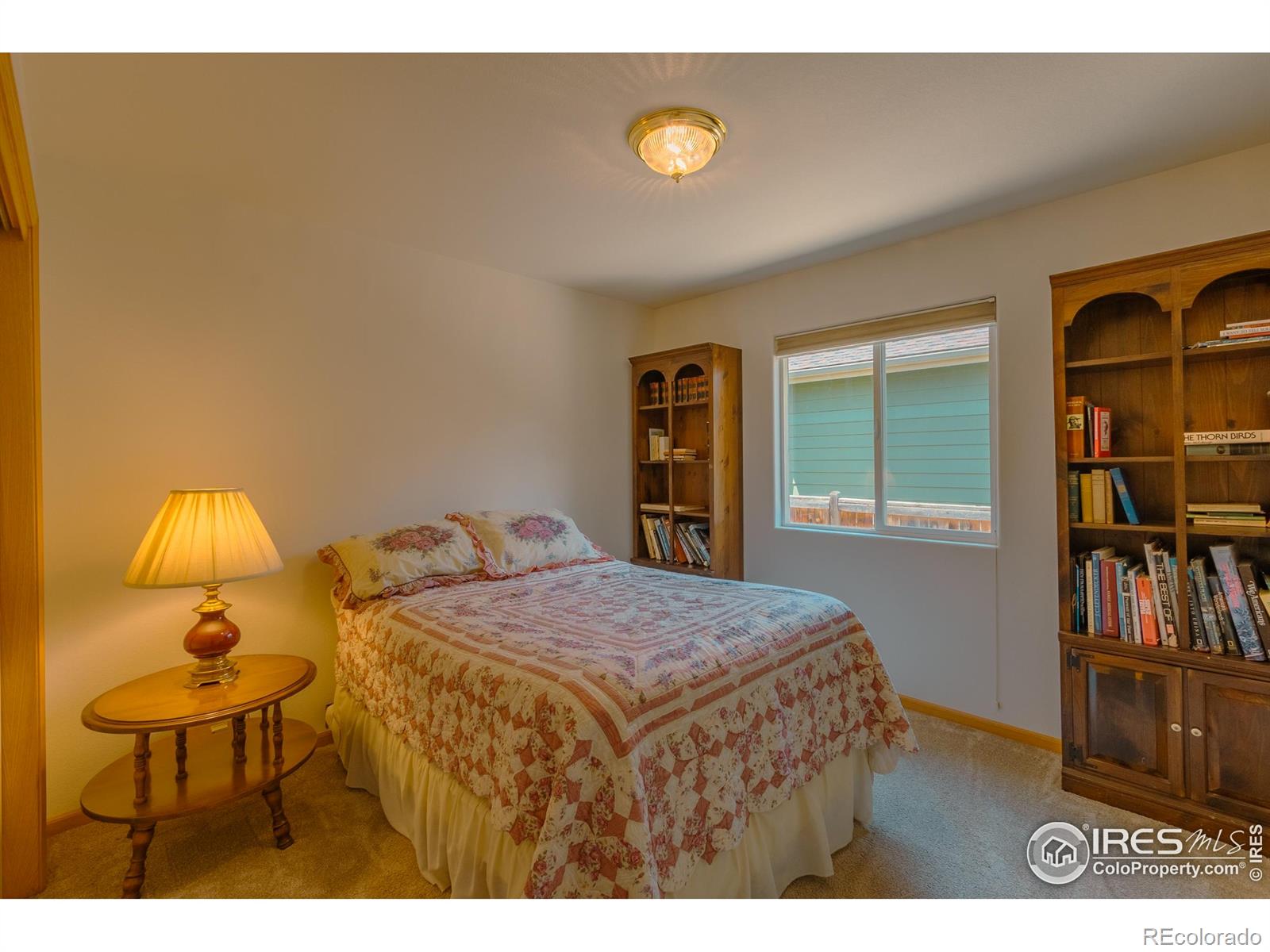 MLS Image #17 for 2504  winter park street,loveland, Colorado