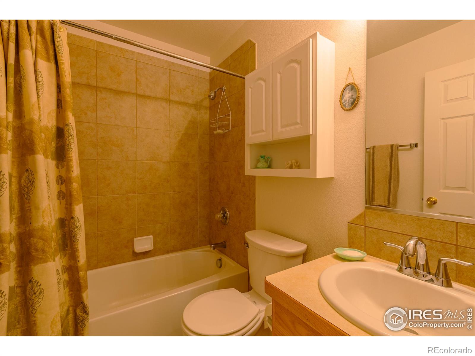 MLS Image #19 for 2504  winter park street,loveland, Colorado