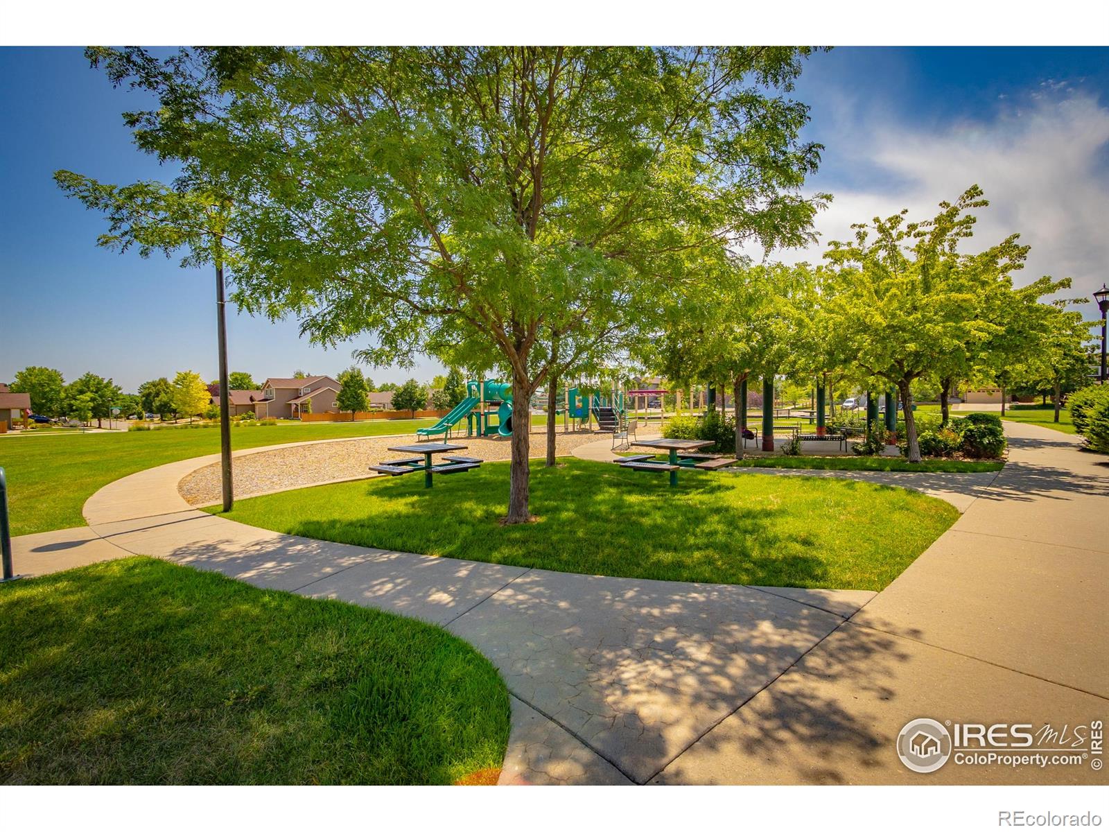 MLS Image #27 for 2504  winter park street,loveland, Colorado